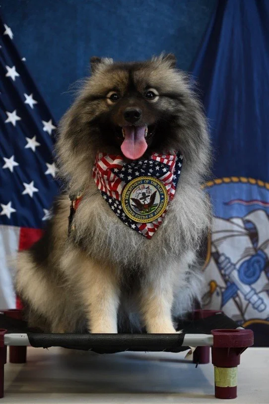 From Legacy to Service: Ember Following in Nikita’s Pawprints