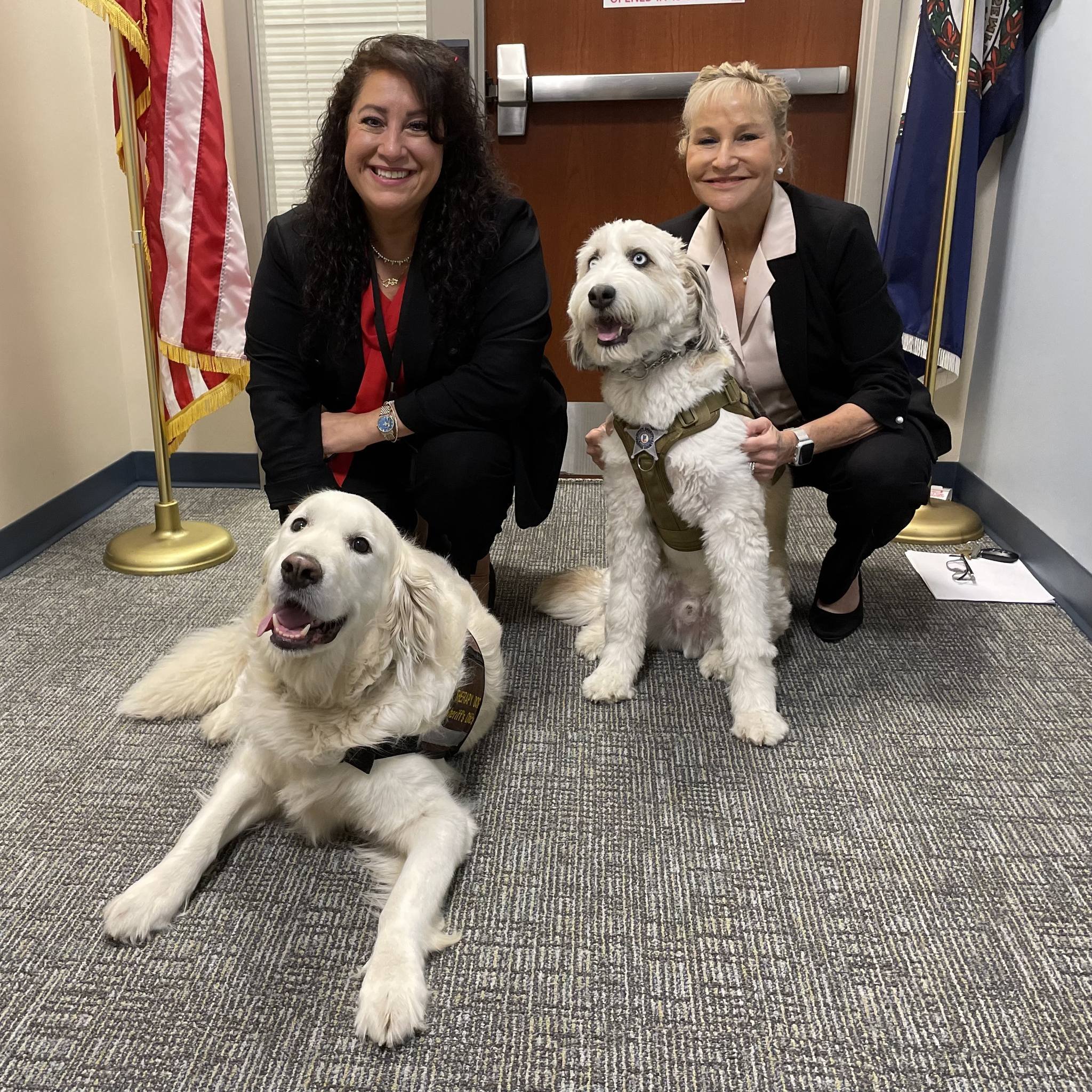 Fairfax Sherif and FCFD therapy dogs Bailey and Hutter.jpg