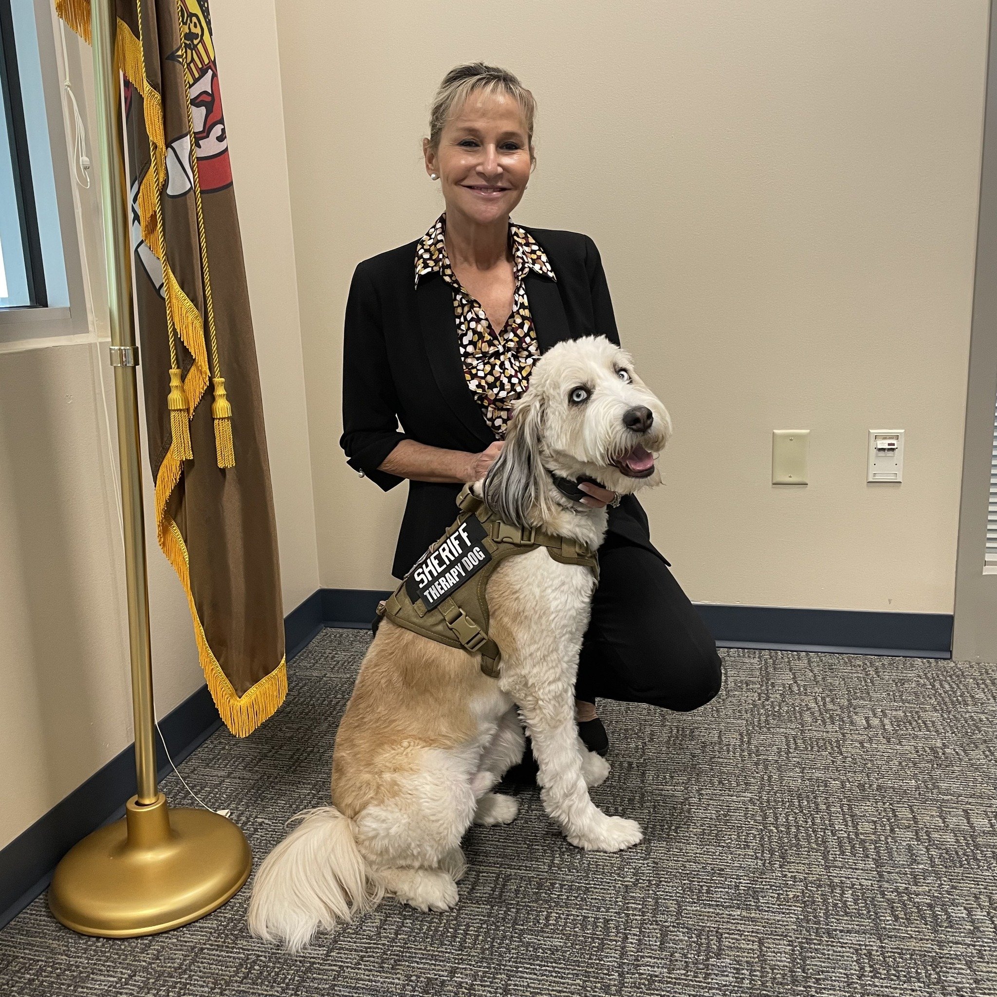 Bailey fairfax sheriff dog.jpg