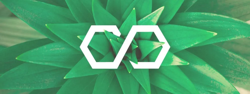 Strategic Alignment + Human Coherence