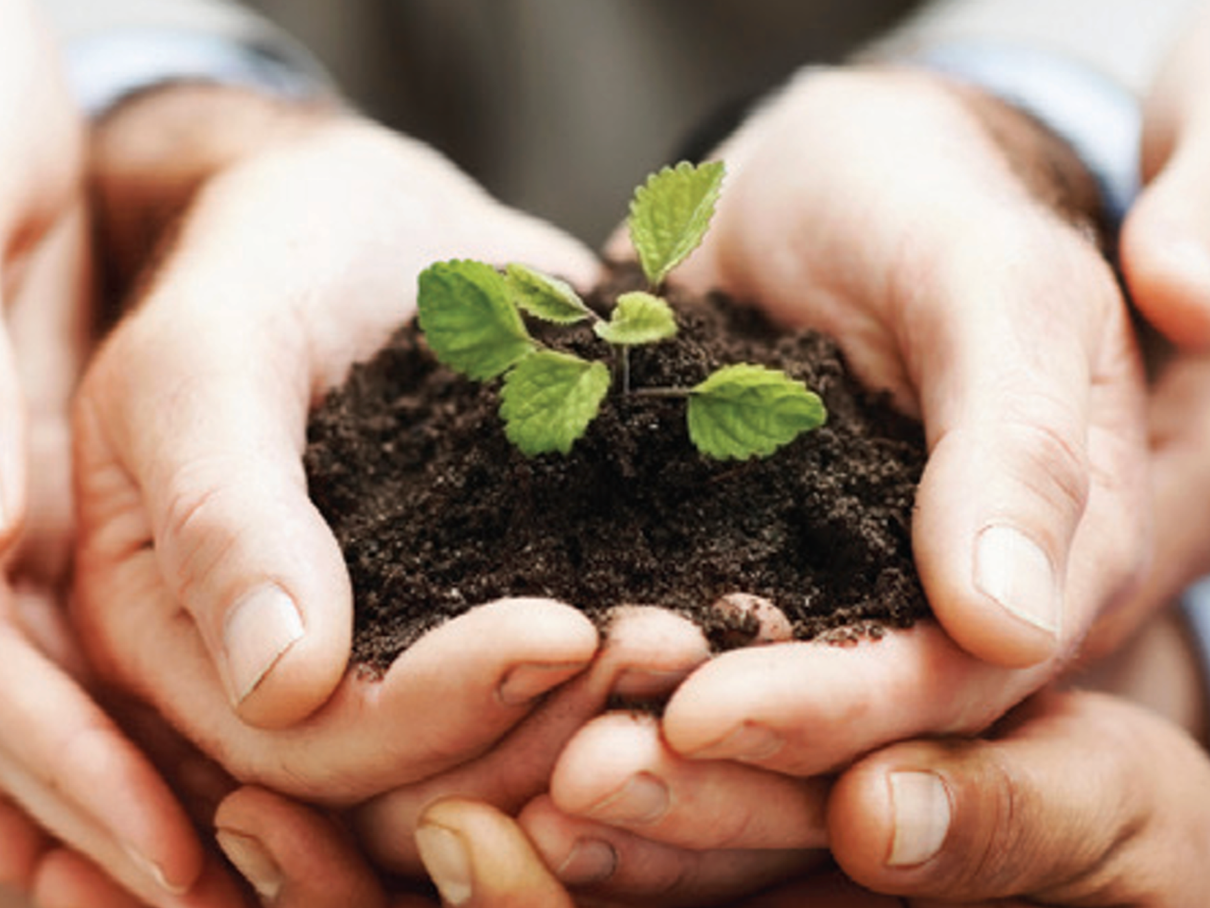 eBook: Transforming Culture in Larger Organizations