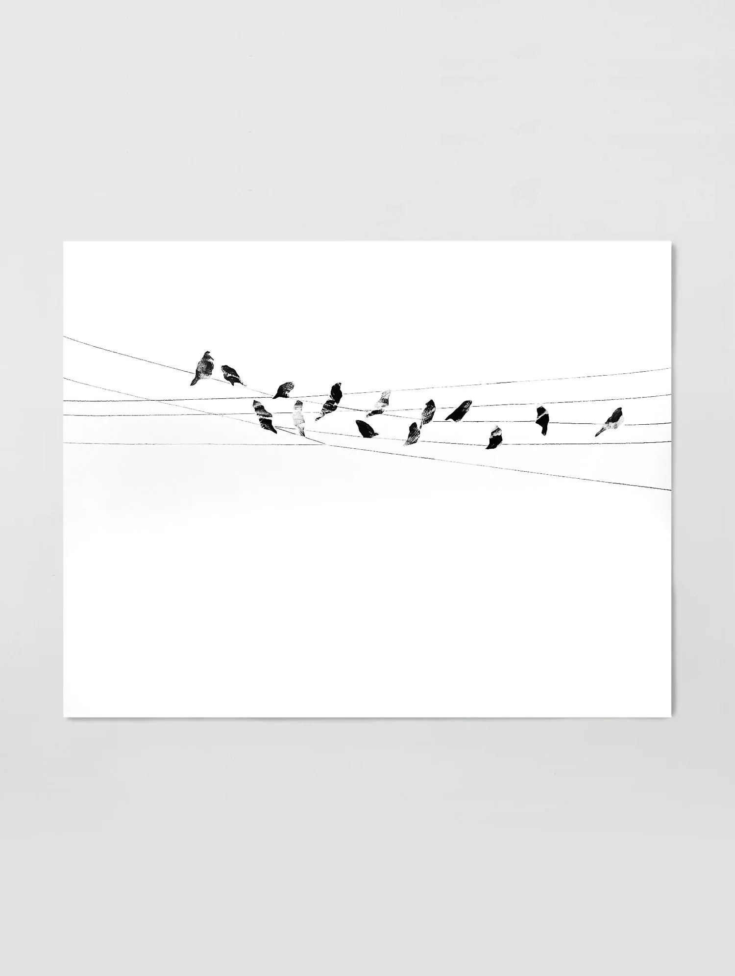 Birds on Wire