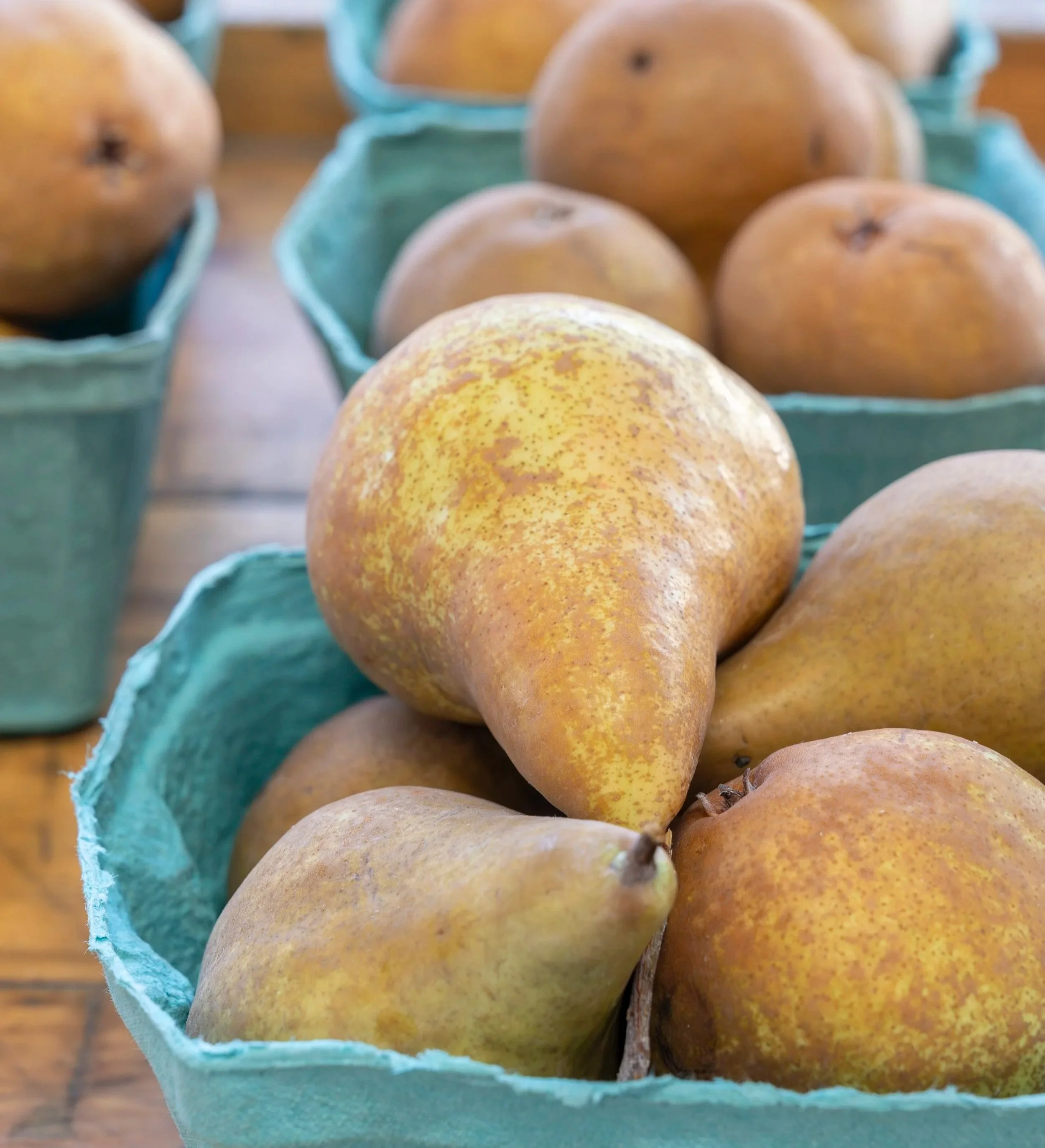 Pears from Migliorelli Farm