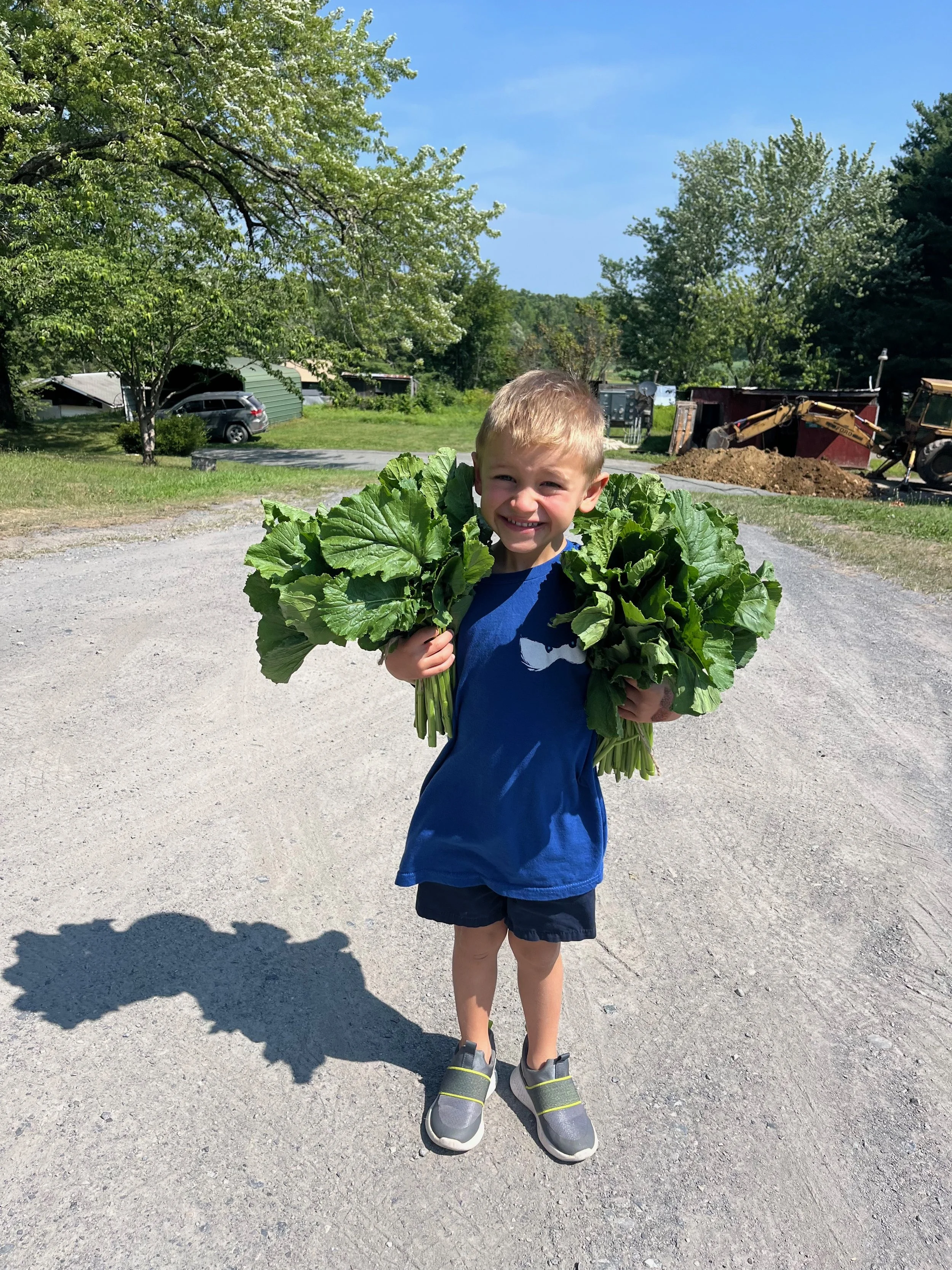 Carly's Nephew Holding Greens