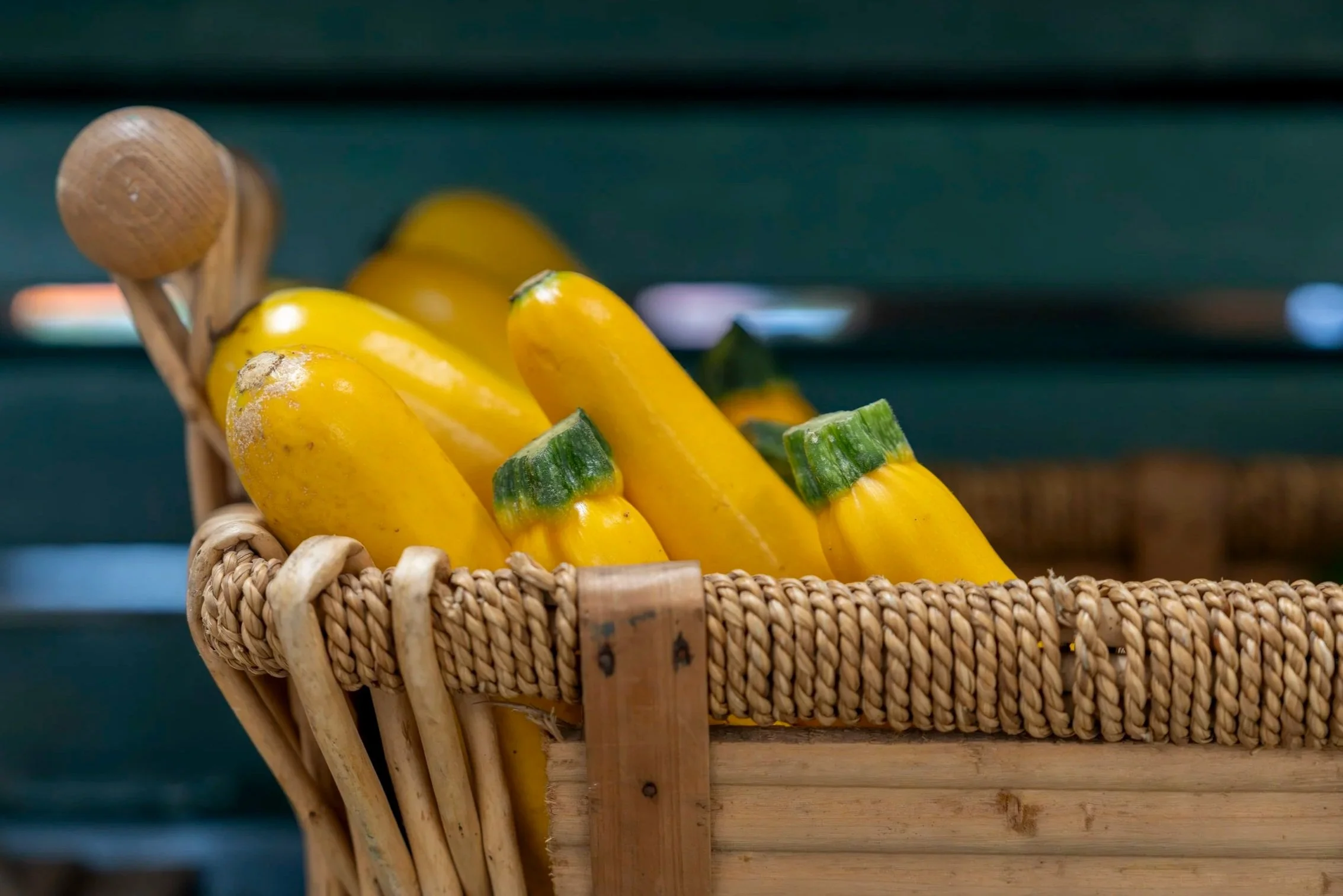 Basket of Yellow Squash