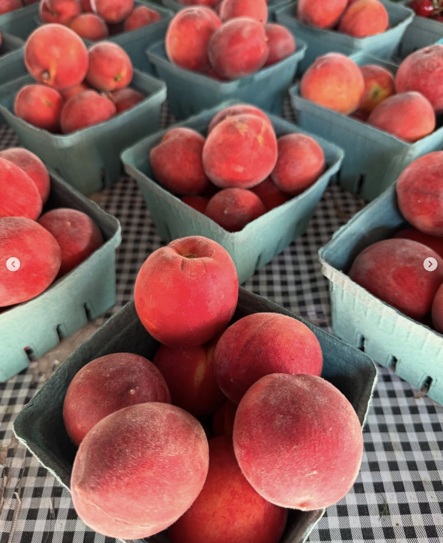 Nectarines from Migliorelli Farm