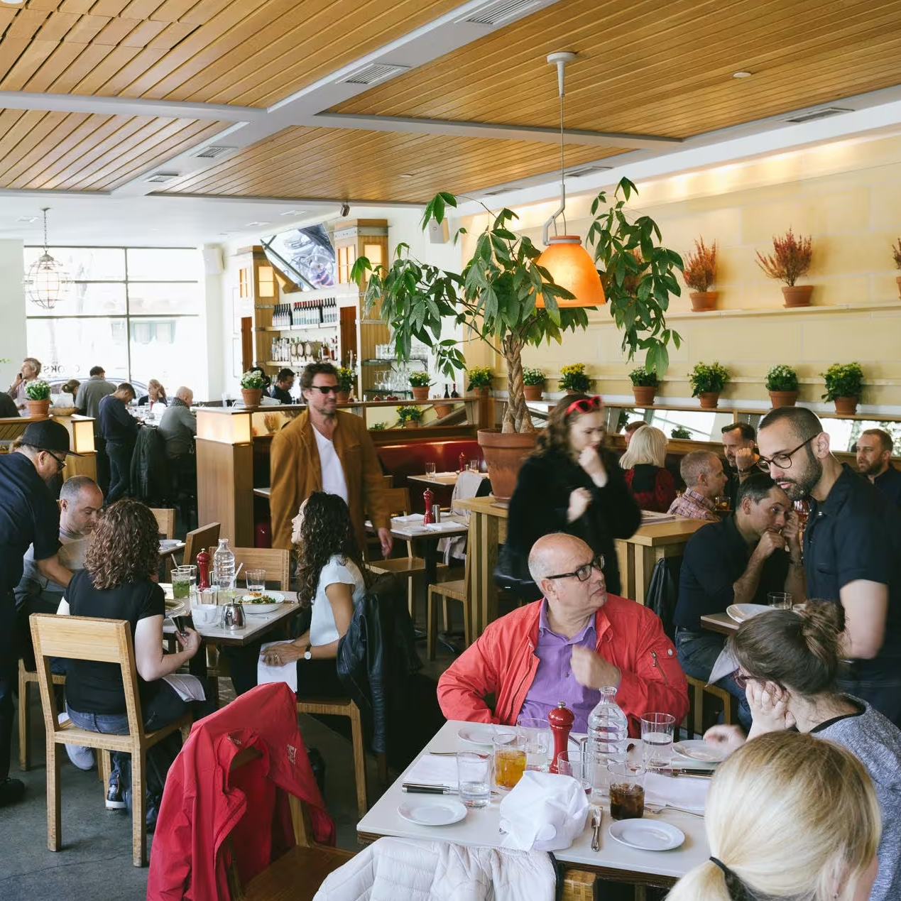 Inside a lively restaurant with diners seated at wooden tables, a large potted plant with a hanging lamp above, and shelves with potted plants on a cream wall.
