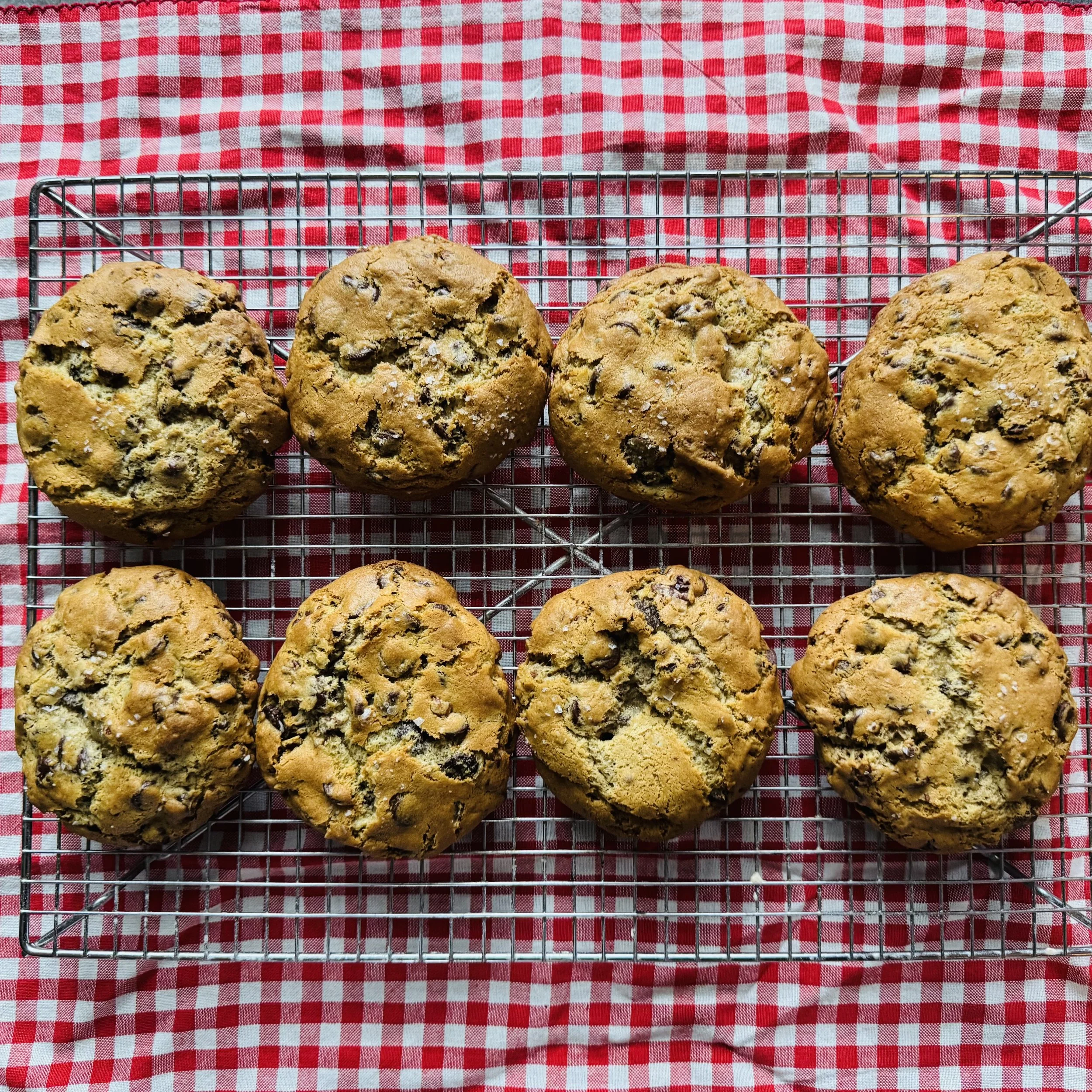 Chocolate Chip Pecan Cookie - 5 pack