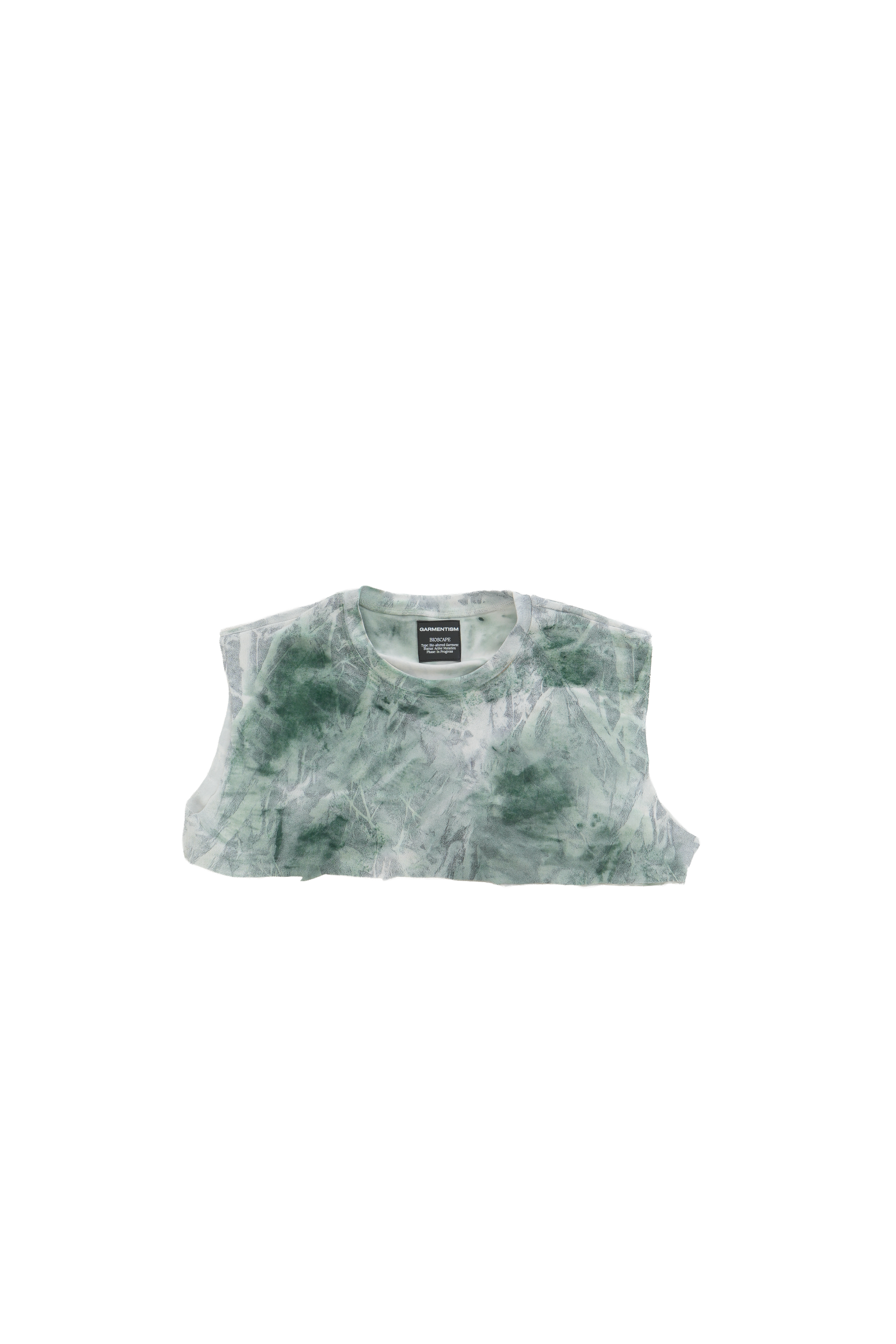 DSC01944.png