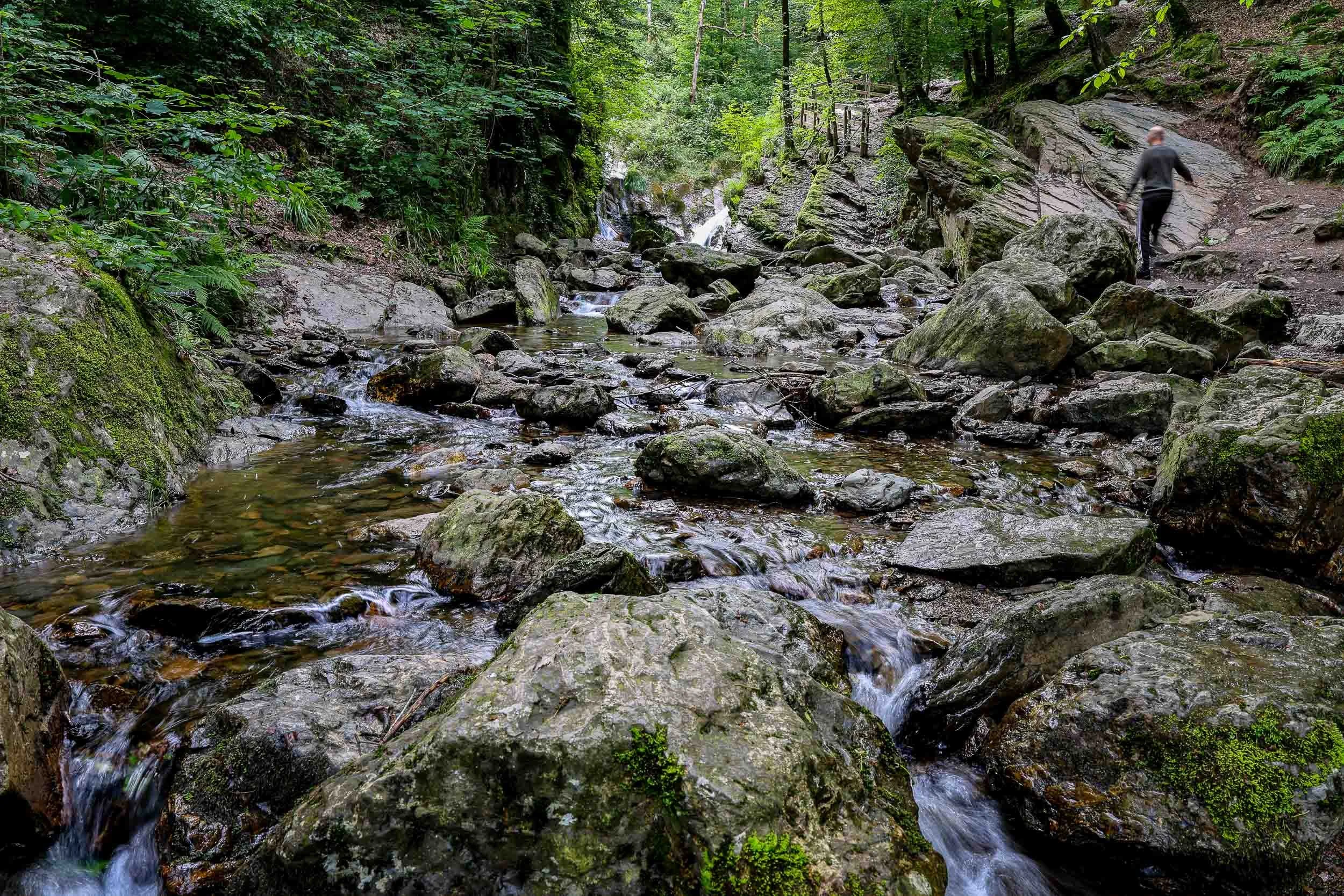 Ohm Trail: The Harshness of the Ardennes