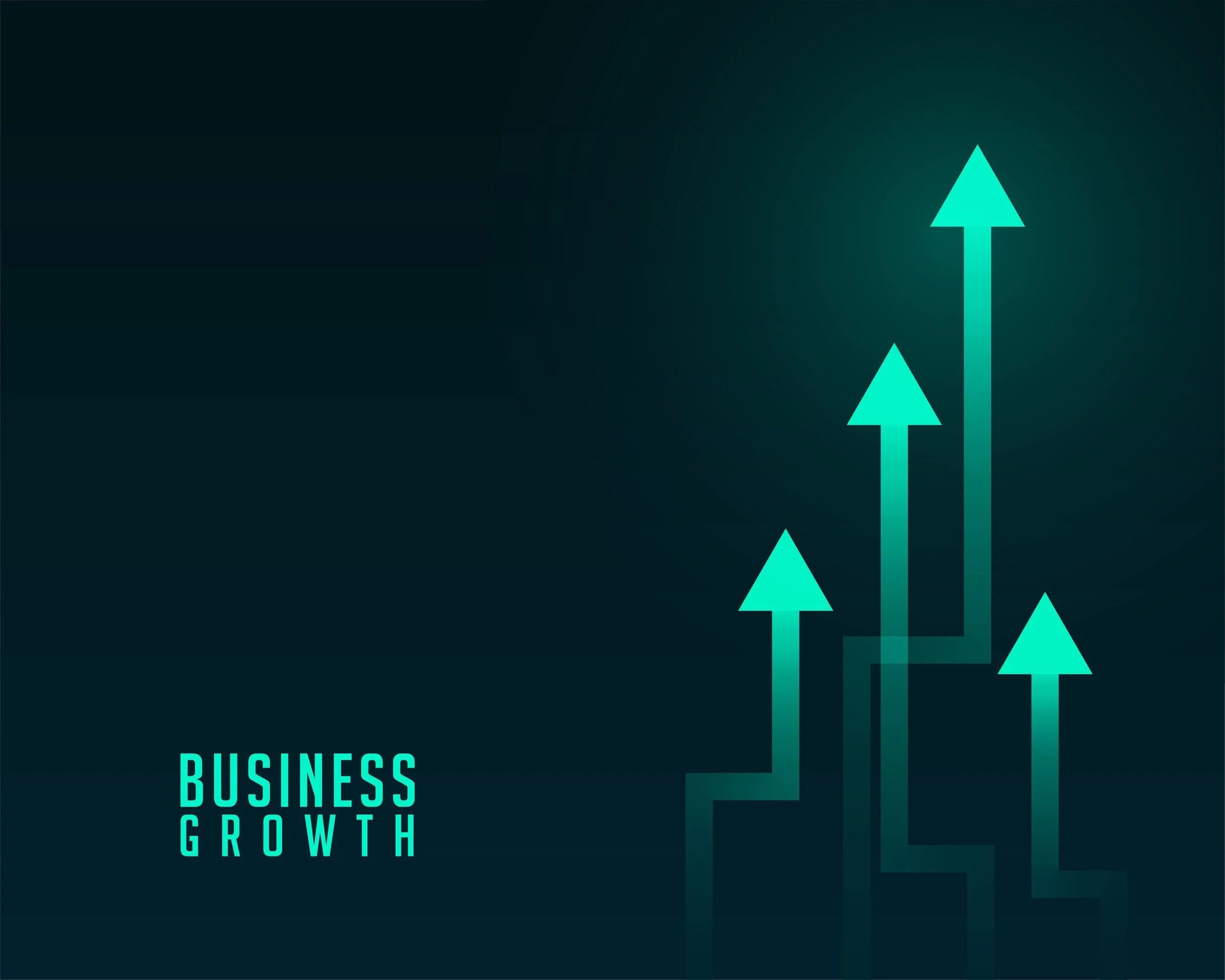 Growth Guarantee Scheme Loans For Business 