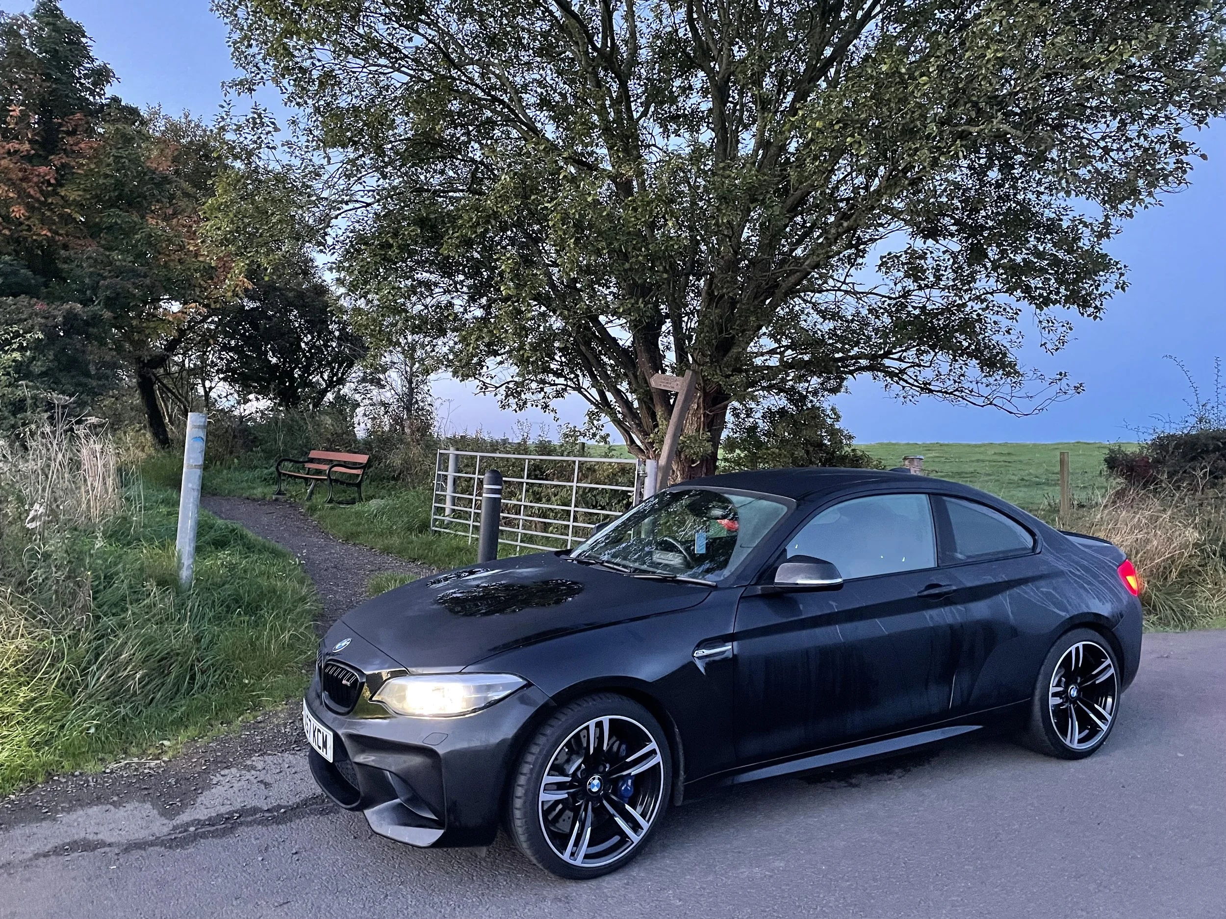Black BMW car parked on a rural roadside with a large tree and green field in the background