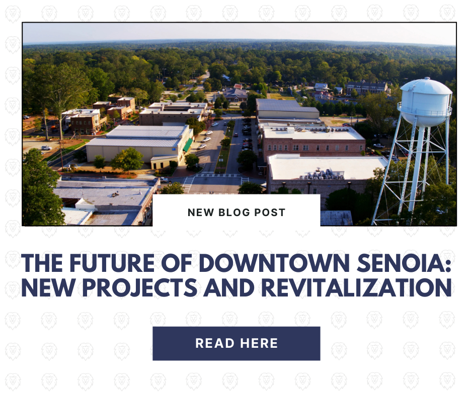 The Future of Downtown Senoia: New Projects and Revitalization