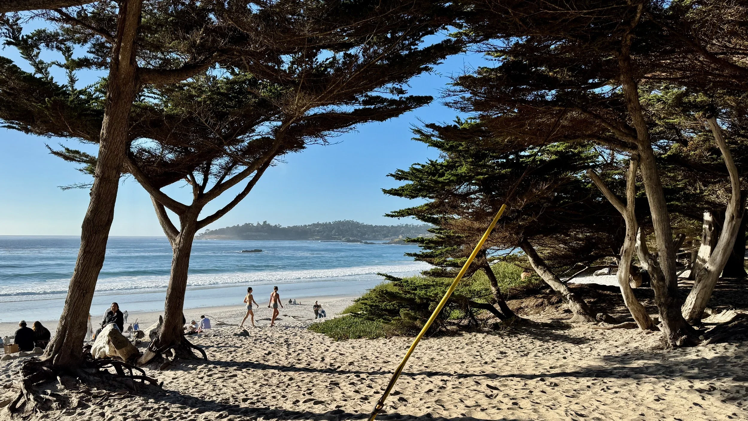 Carmel-by-the-Sea 5K run and walk finish at Ocean Ave entrance to Carmel Beach, California. Dogs welcome on beach and finish line area. 