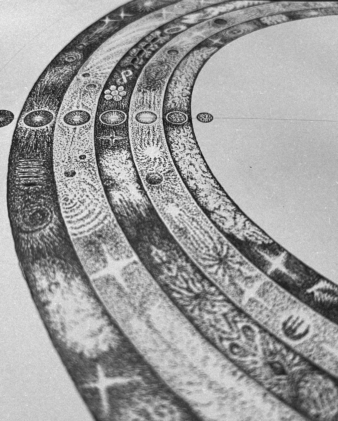 Close-up black and white photograph of concentric circles with intricate patterns, resembling textured rings or decorative design elements.