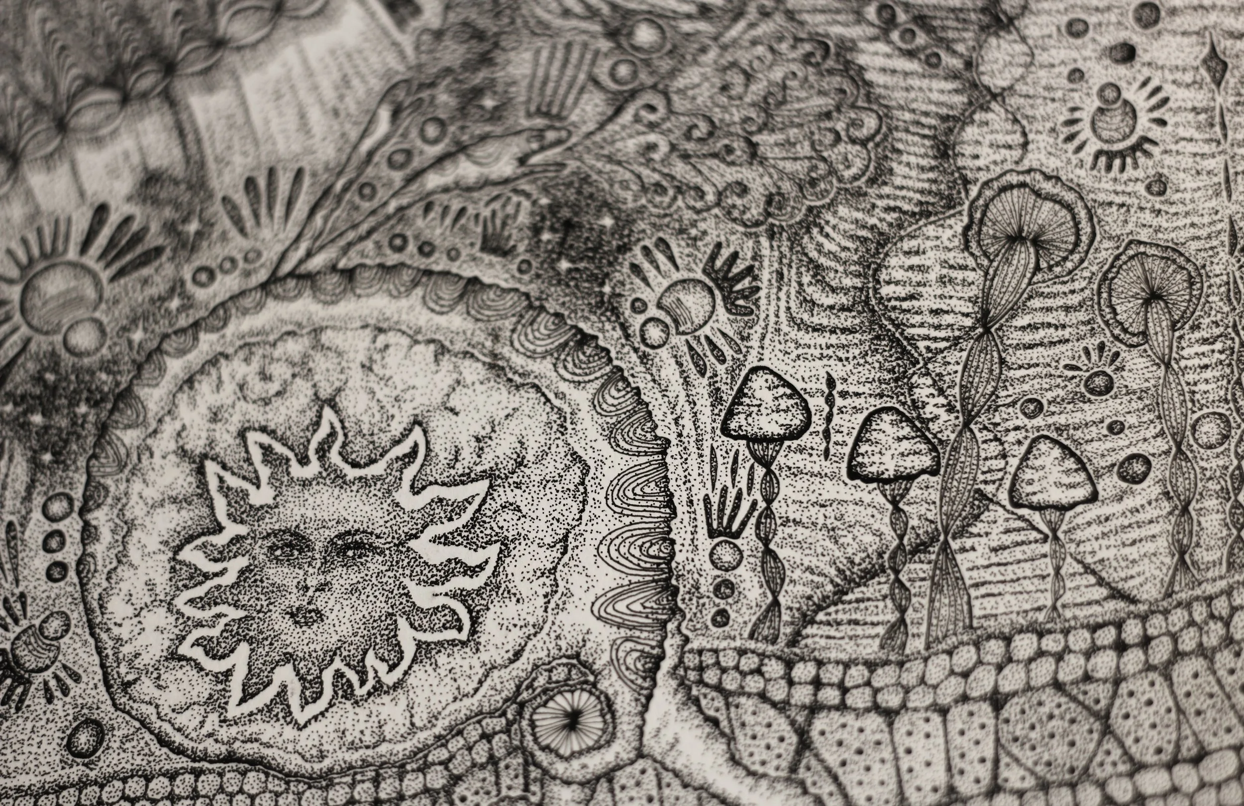 Primordial-close-up-2_5000.jpg