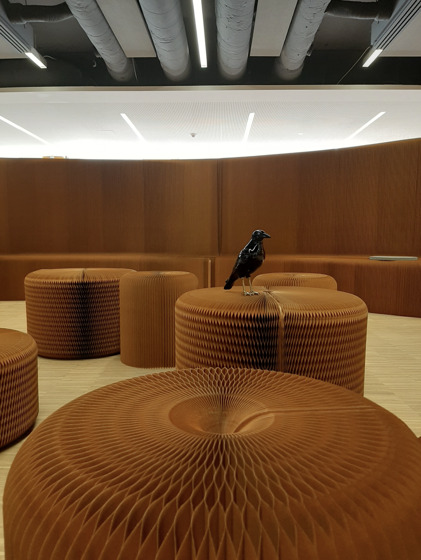WOODS · Scénographie · Bureaux · Luxembourg