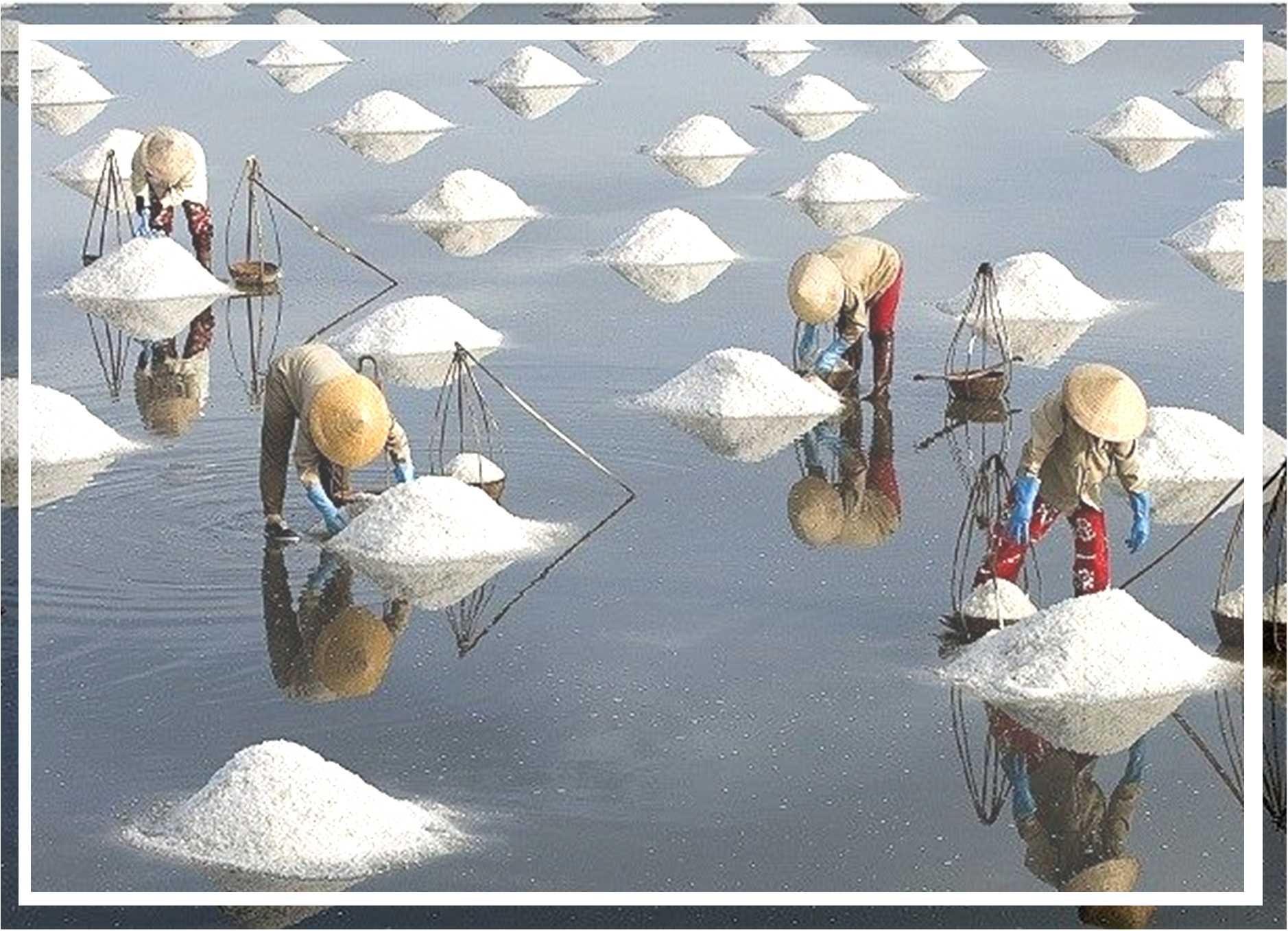 Non-profit org. Registration