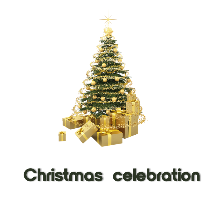Christmas celebration