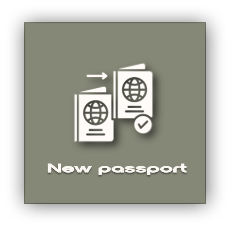 Transfer visa._GH.png