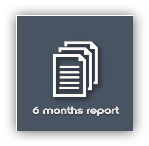 6 / 12 months report