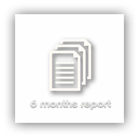 6 months report._WH.png