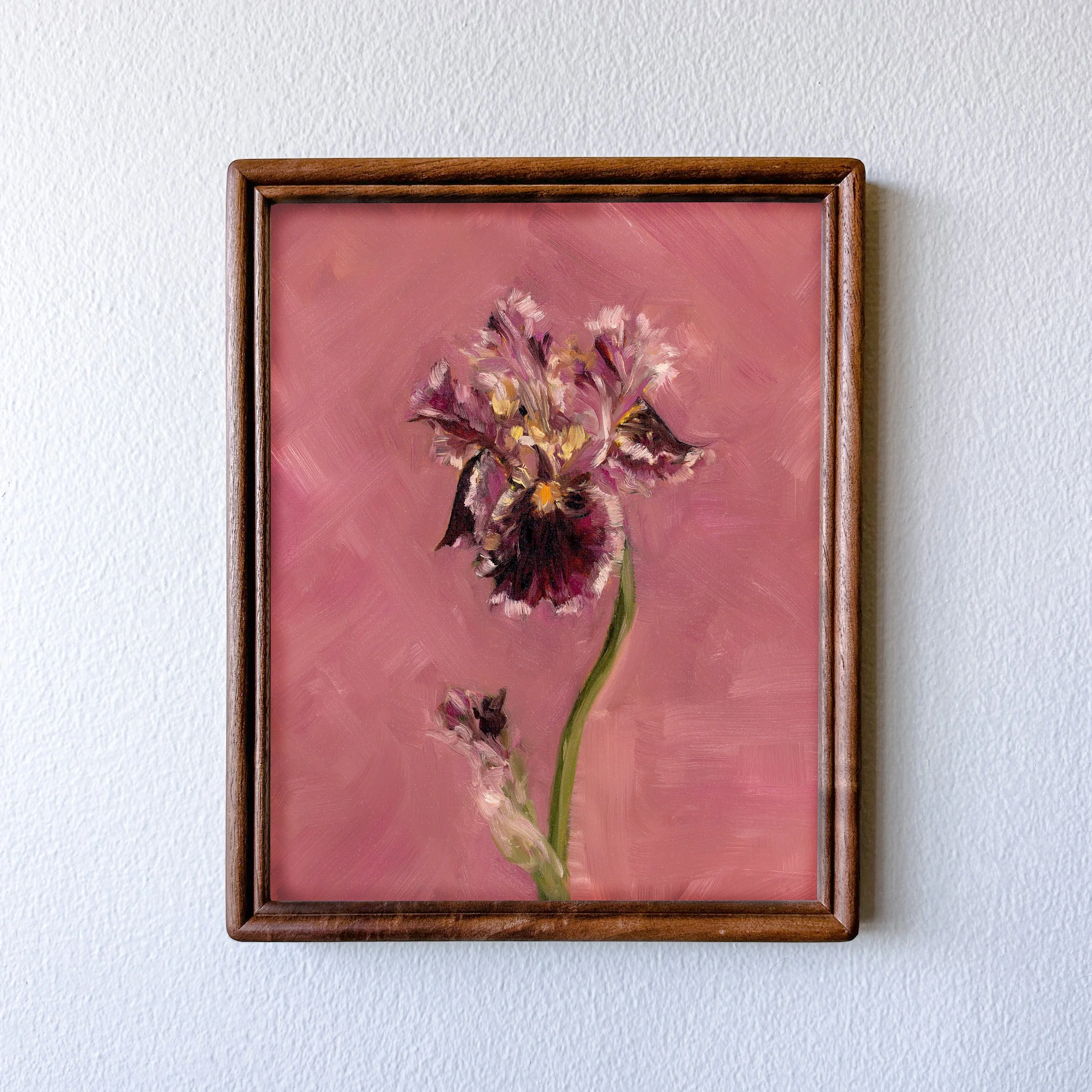 iris-3.jpg