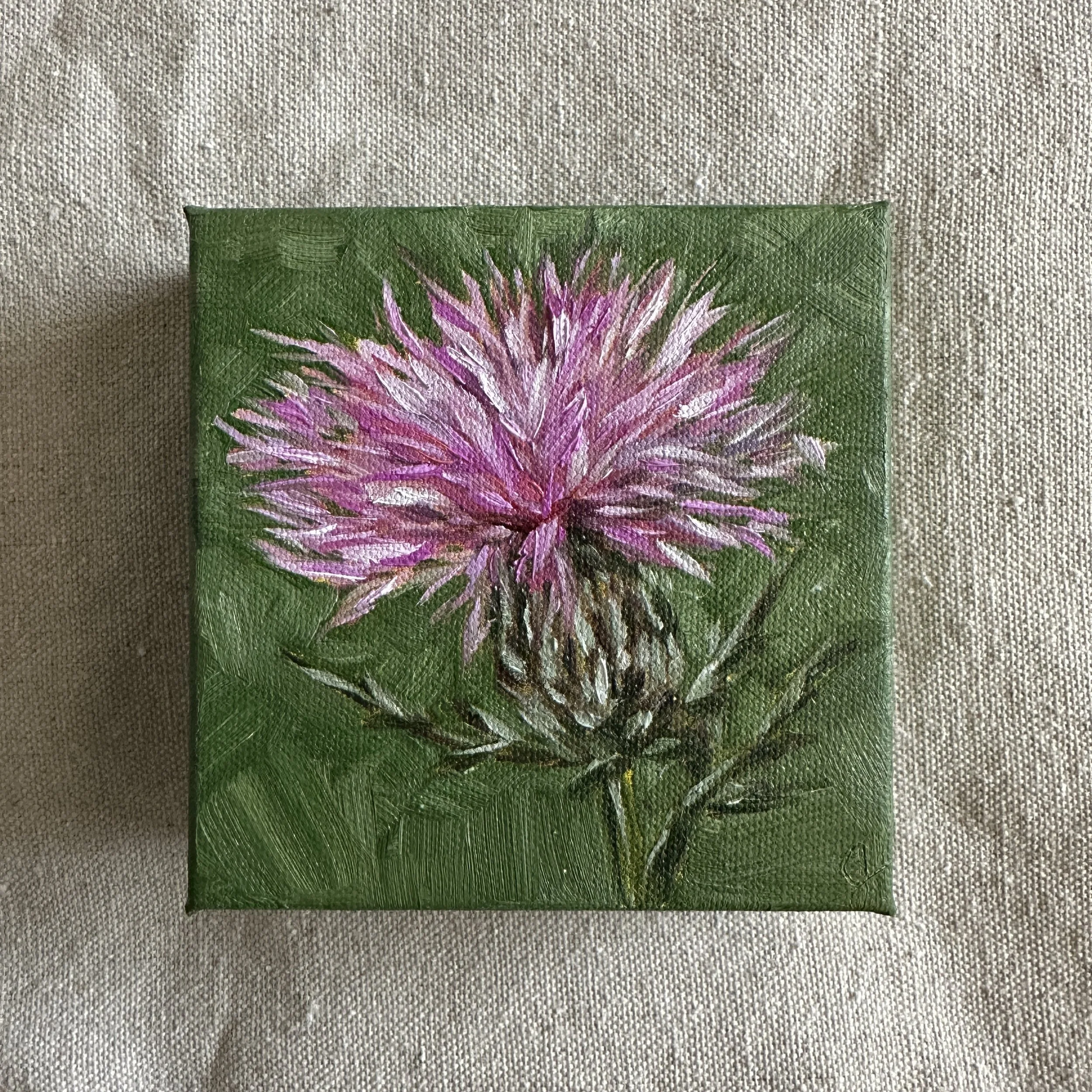 Swamp Thistle