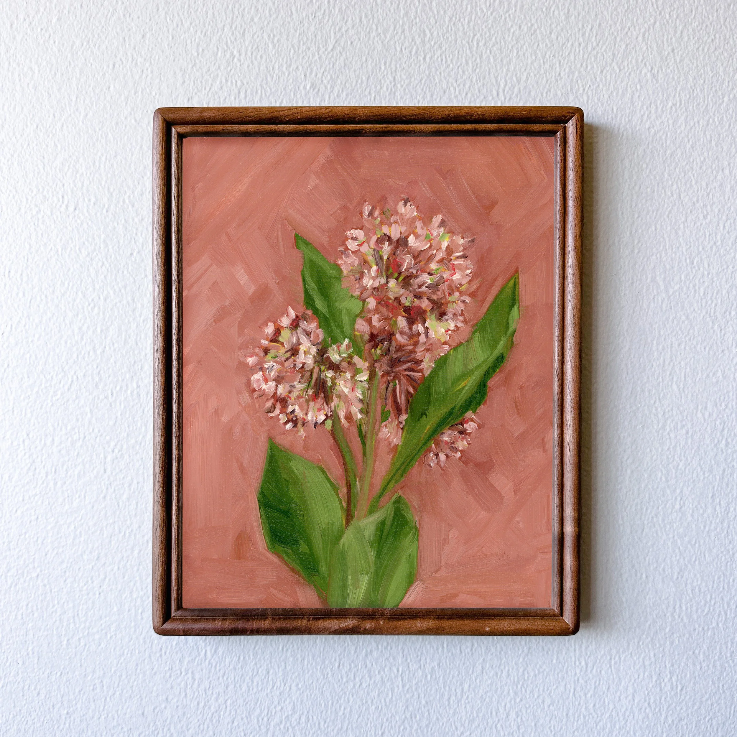 common milkweed-3.jpg