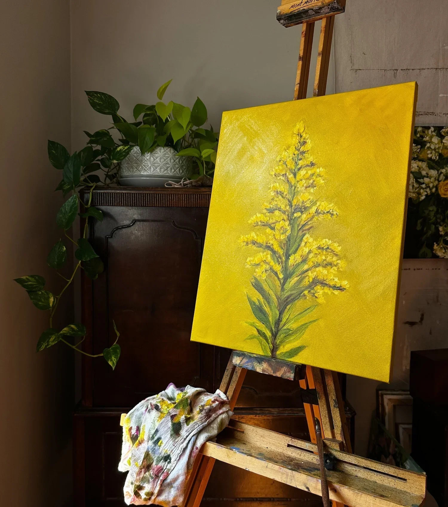 Plant Native Collection: An Update