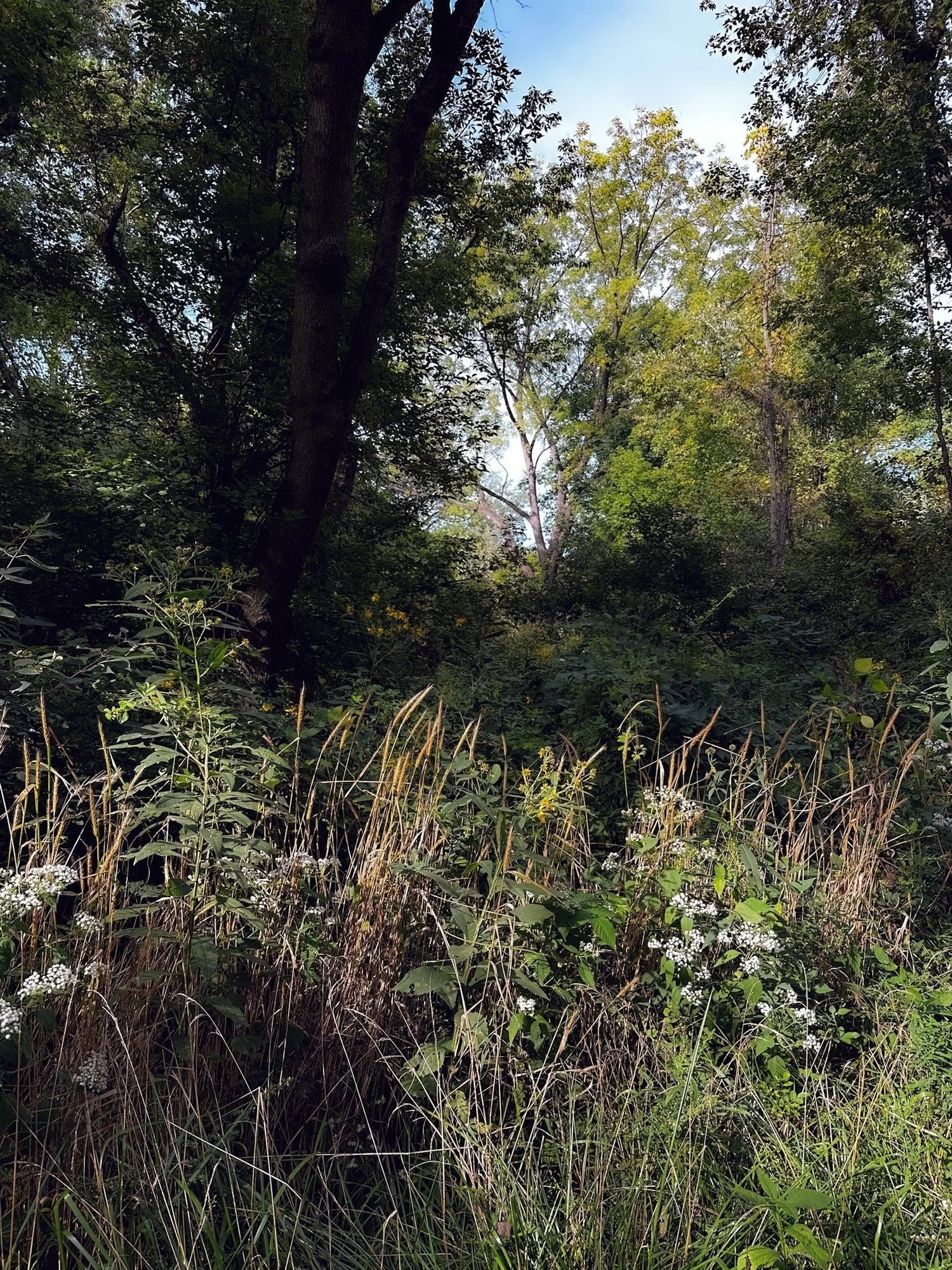 Called to Paint Bigger