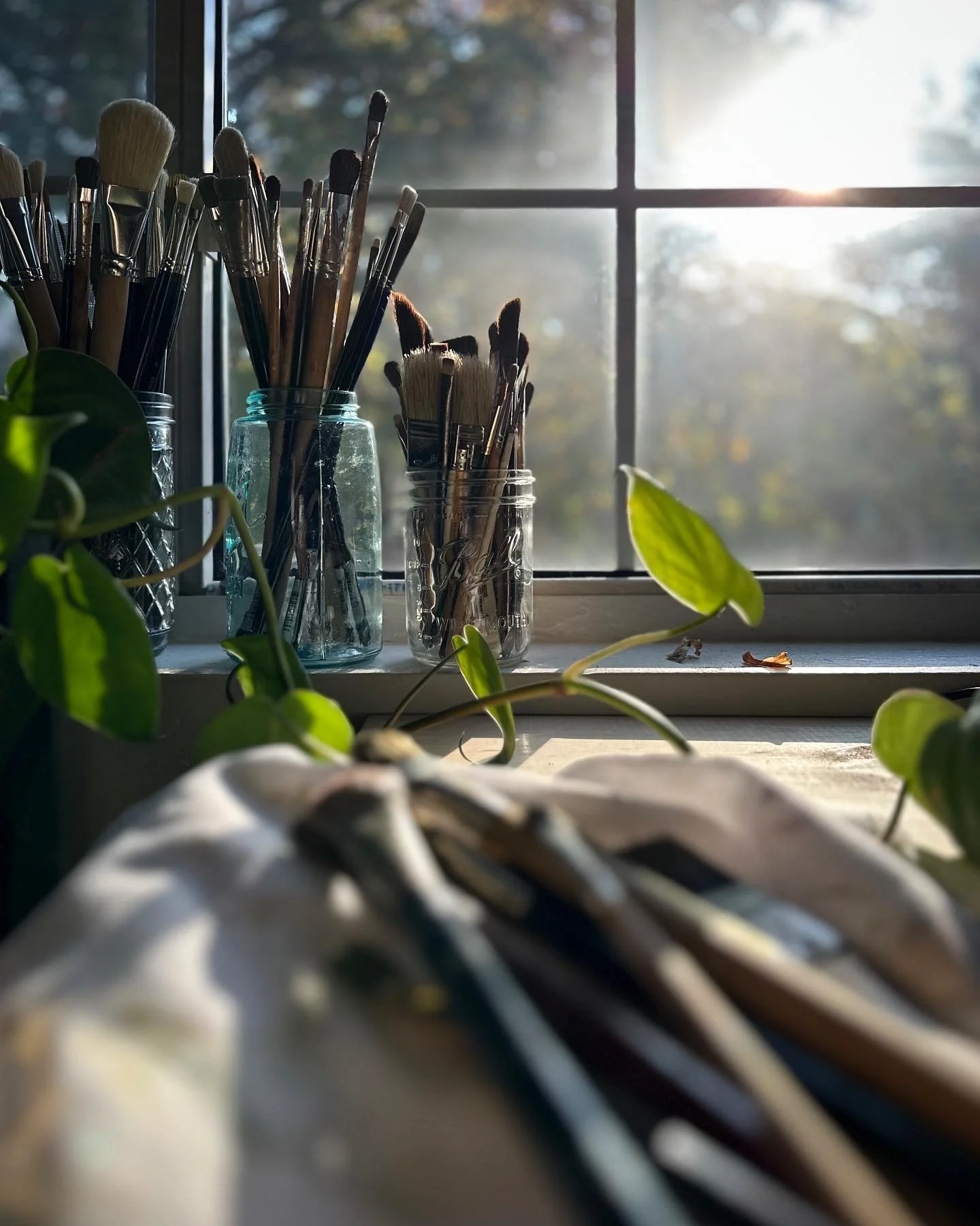 Sunlight coming through a window illuminating jars filled with paintbrushes and art supplies on a windowsill, with green plants nearby.