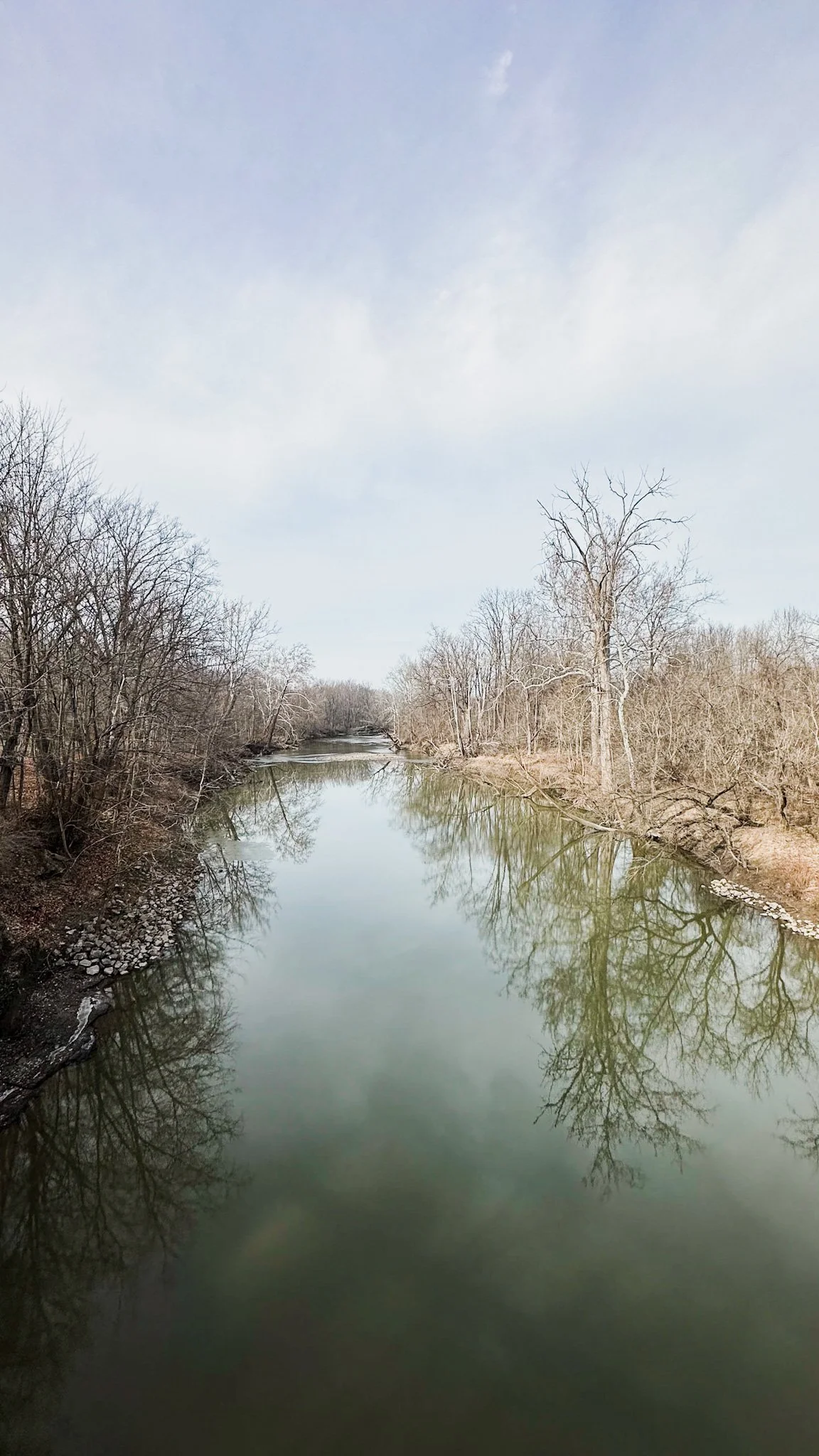 The Shape of the Season: Winter Edition