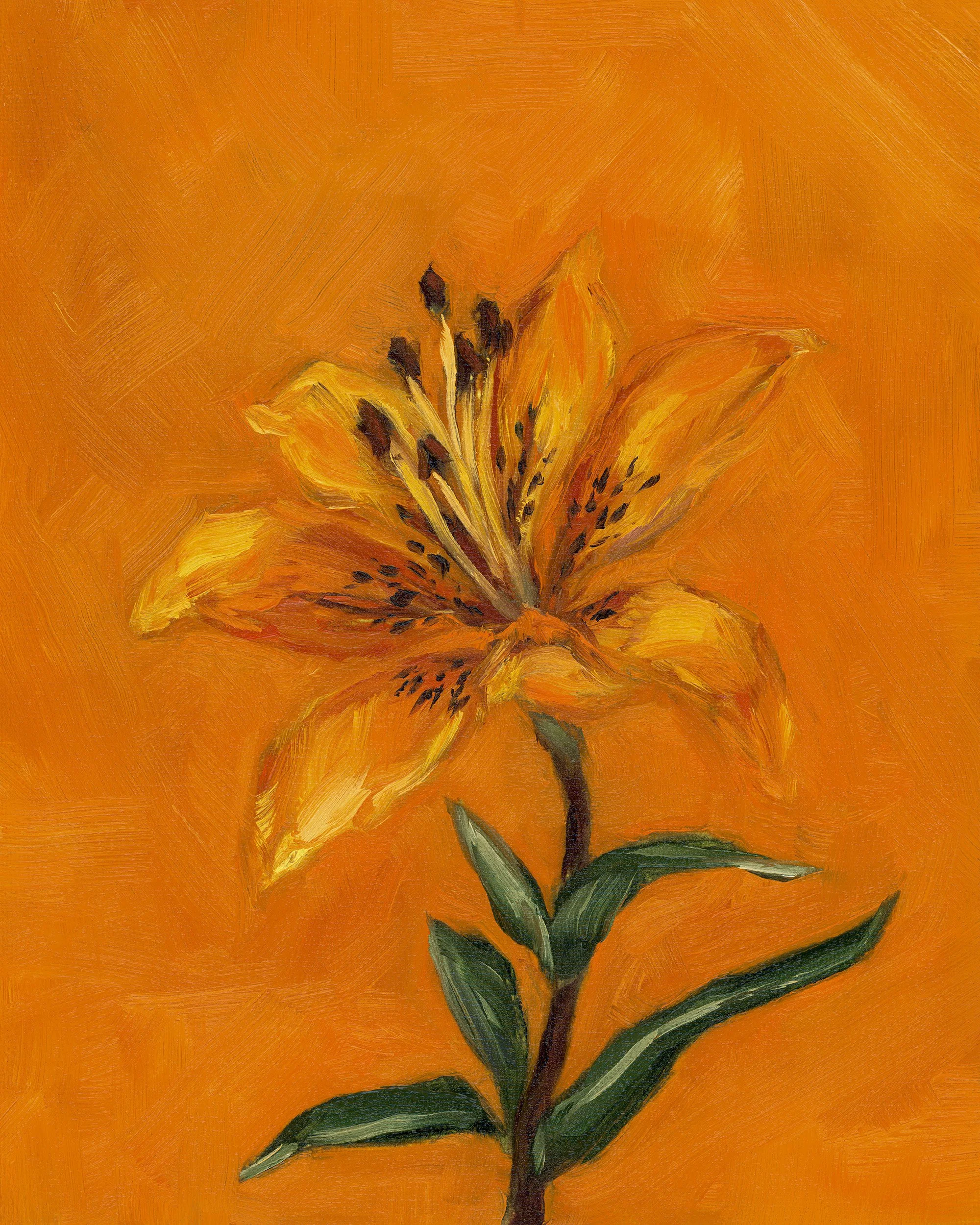 tigerlily.jpg