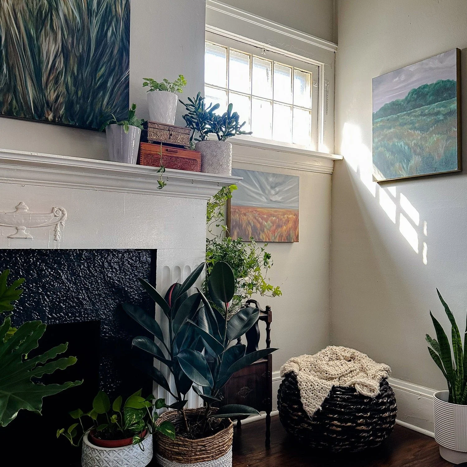 Sunlit corner of a room with potted plants on a white fireplace mantle, around a window, and on the floor, alongside framed artwork on the walls and a black woven ottoman with a cozy blanket.