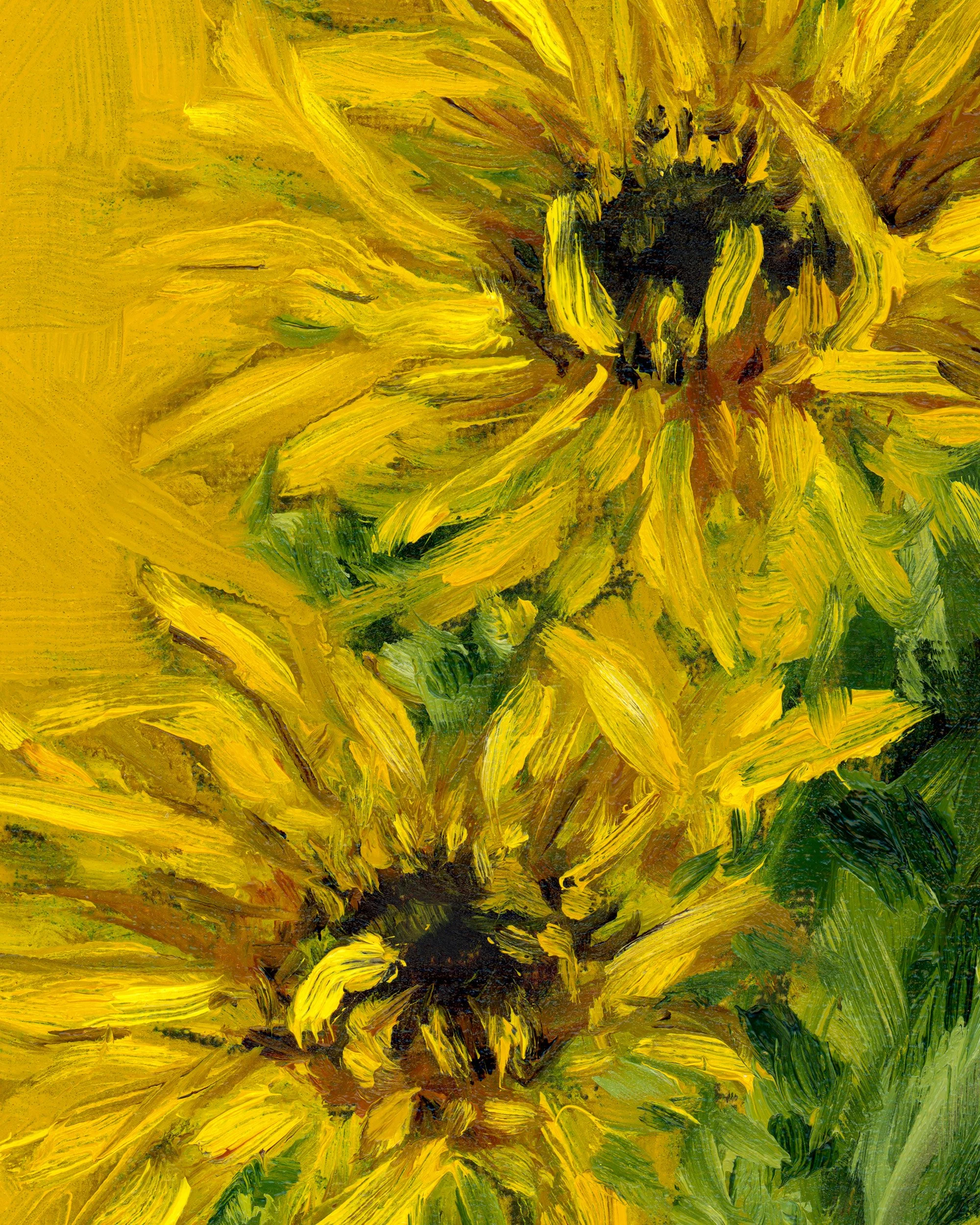 sunflower-2.jpg