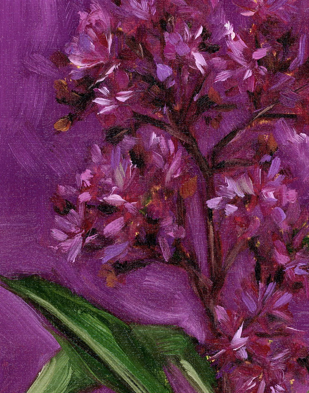ironweed-2.jpg