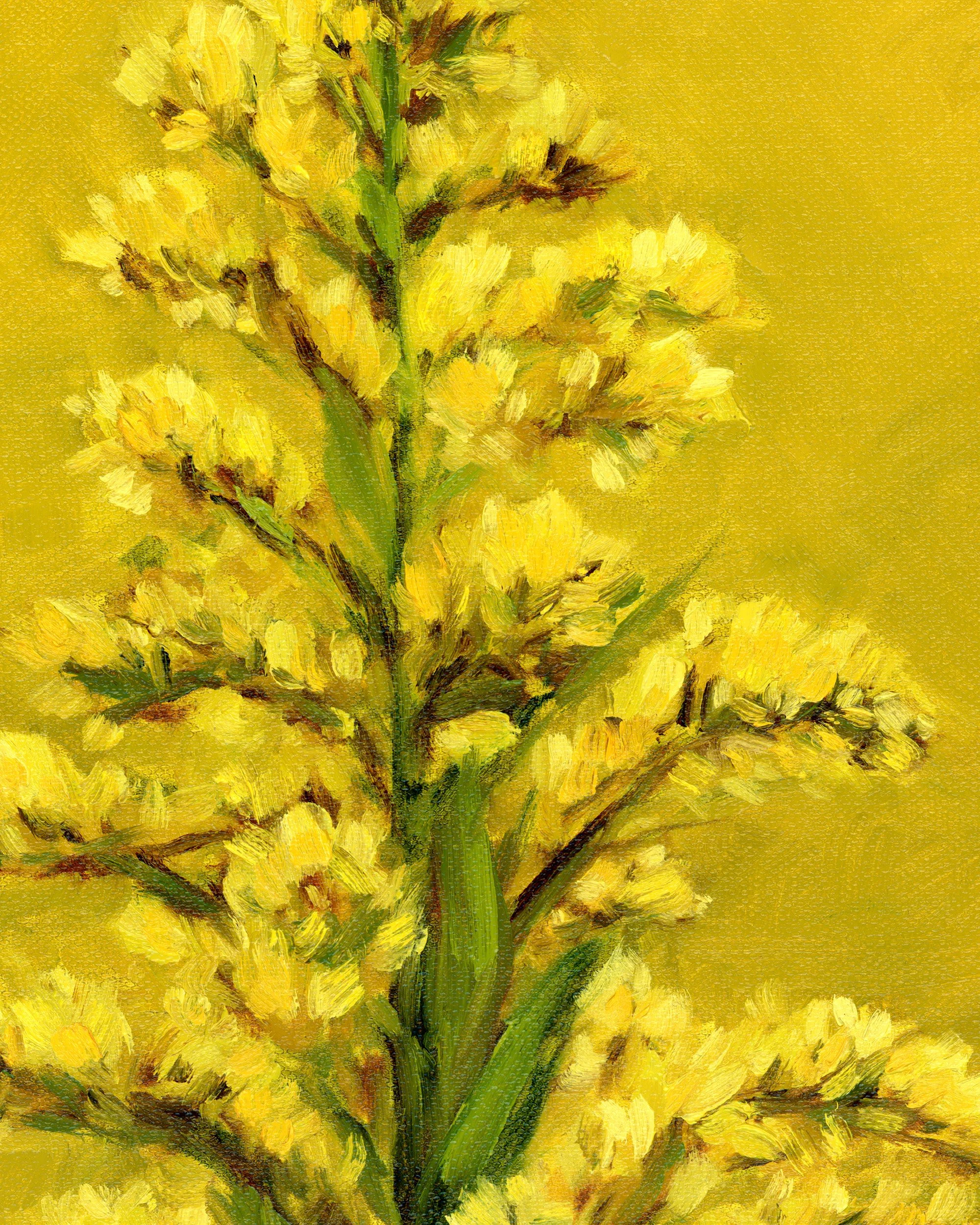 goldenrod-2.jpg