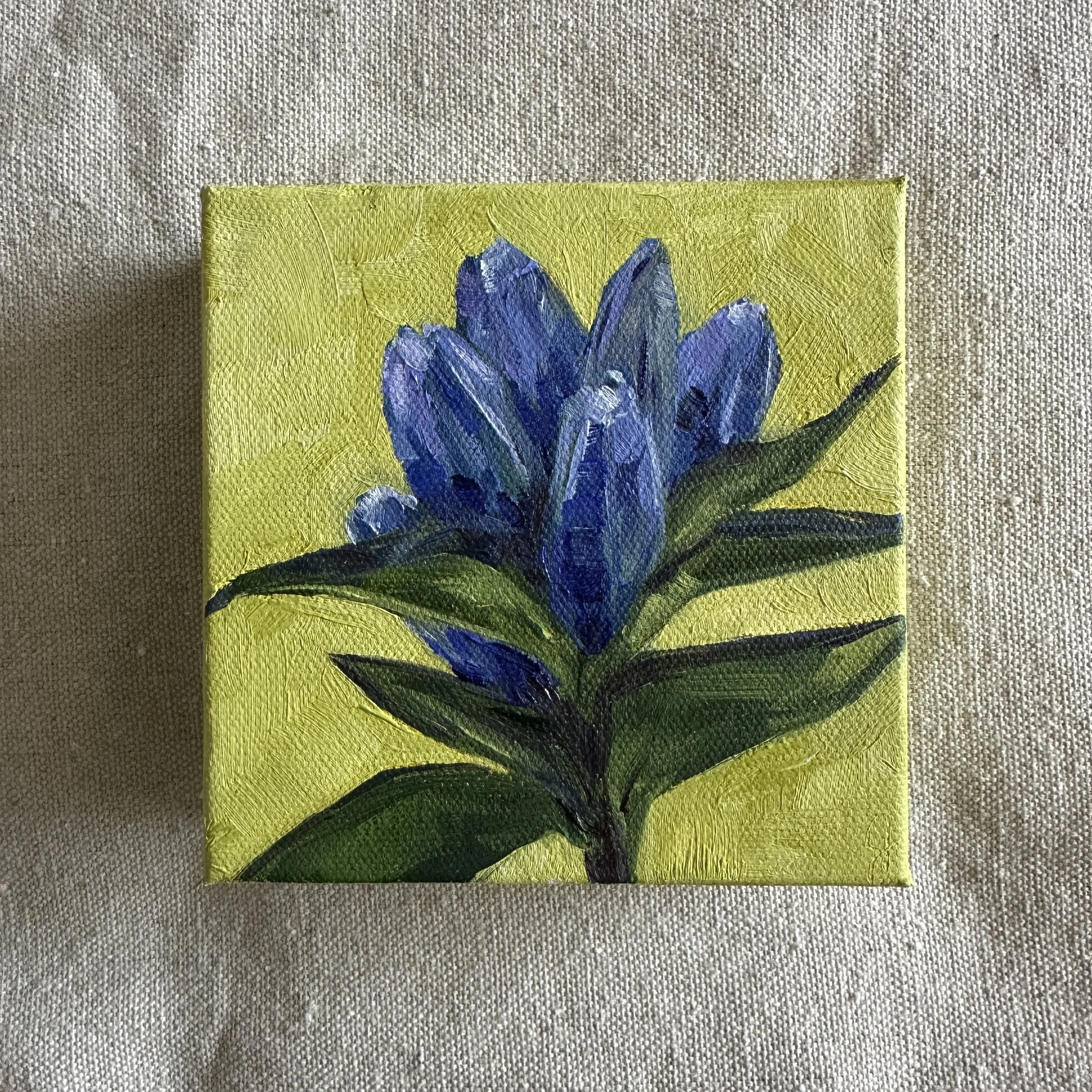 Bottle Gentian
