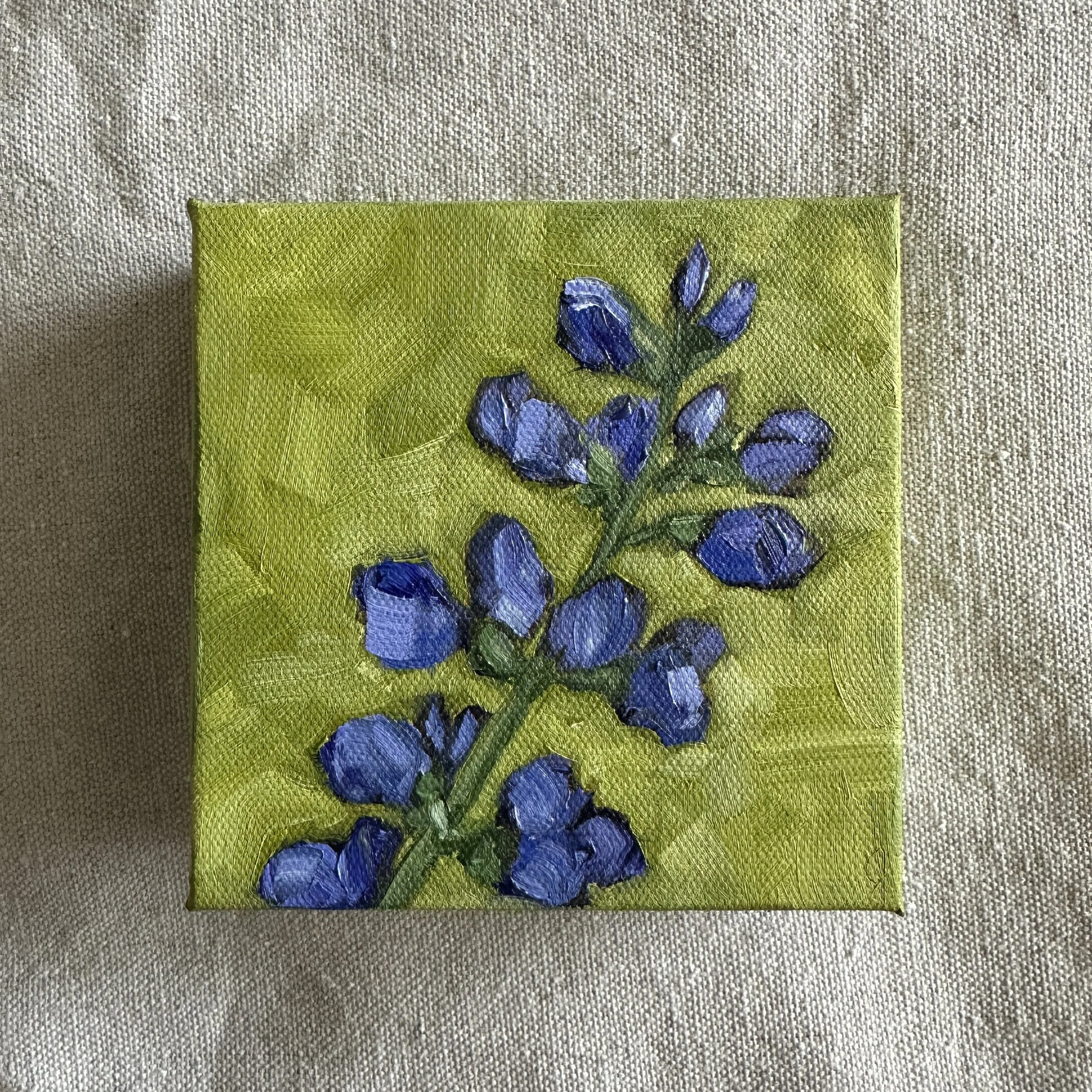 Wild Blue Indigo