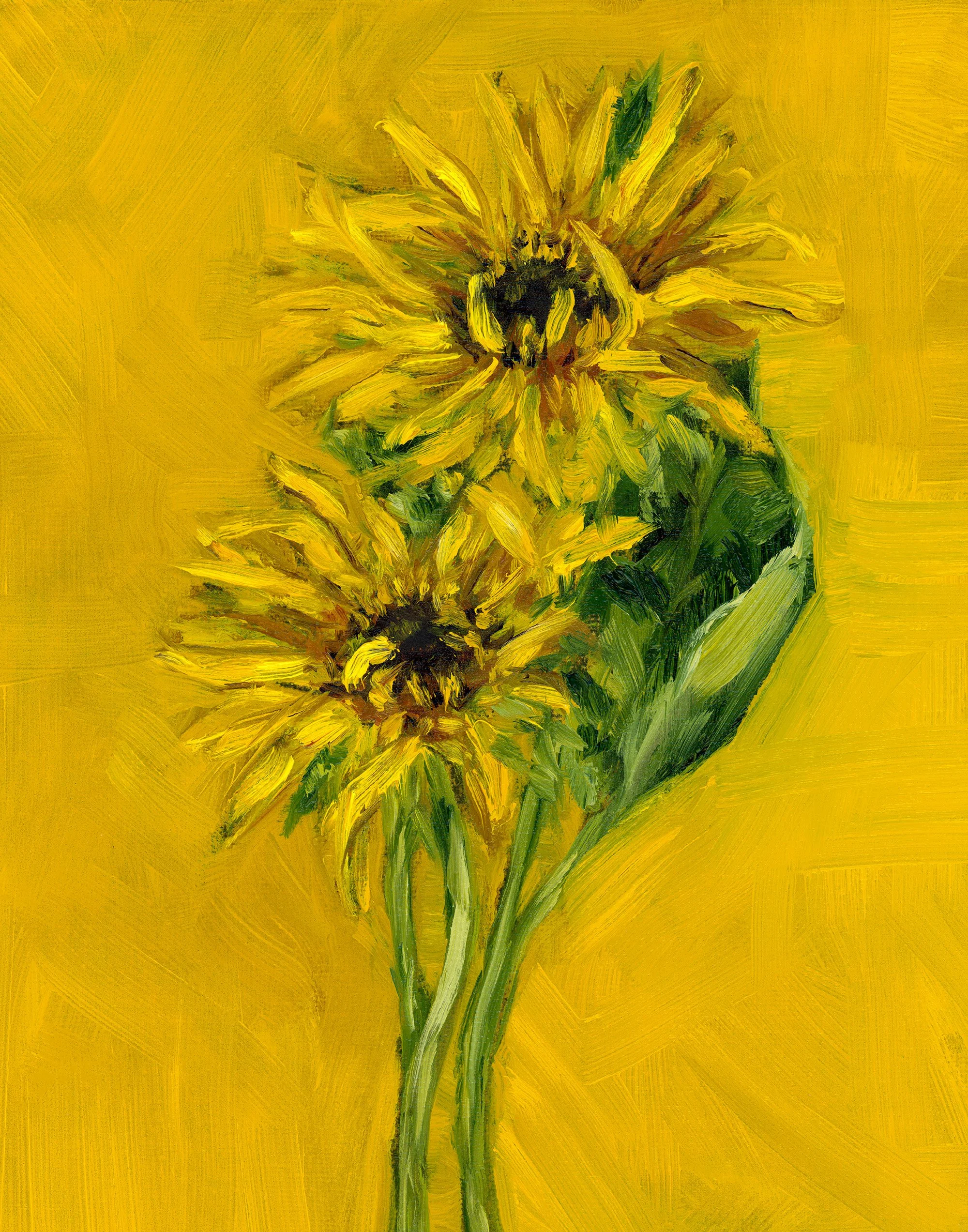 sunflower.jpg