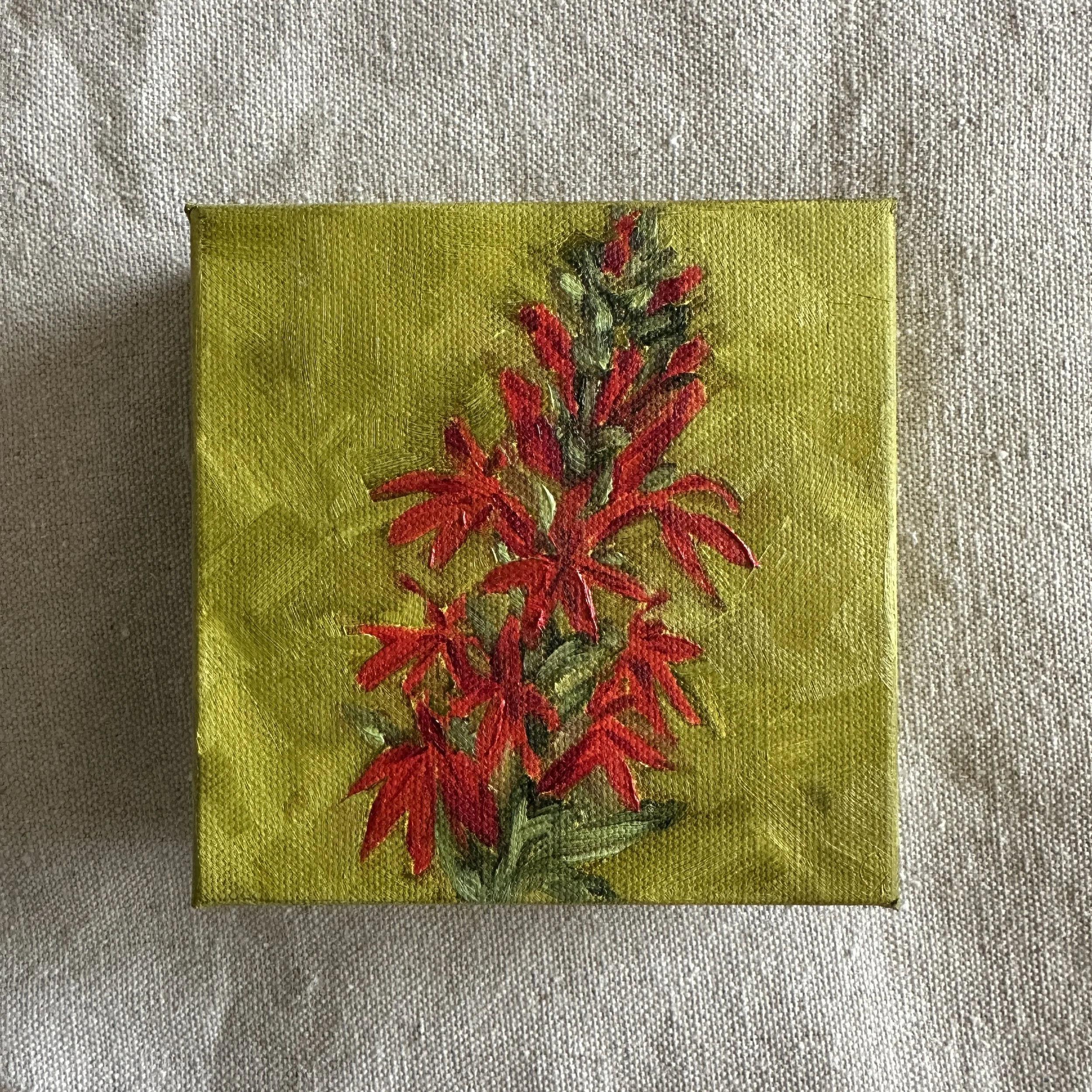 Cardinal Flower