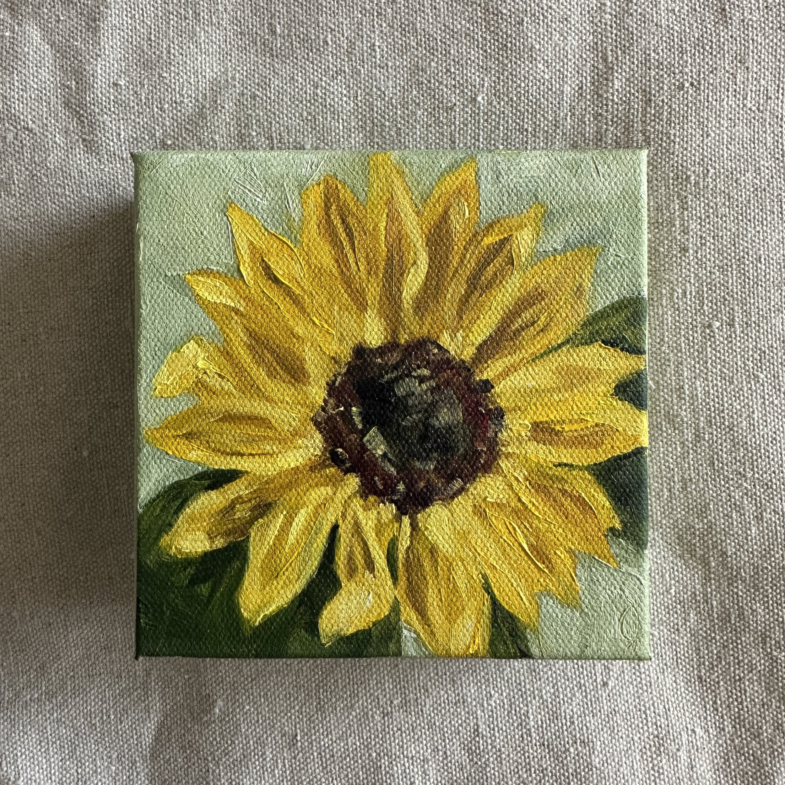 Common Sunflower