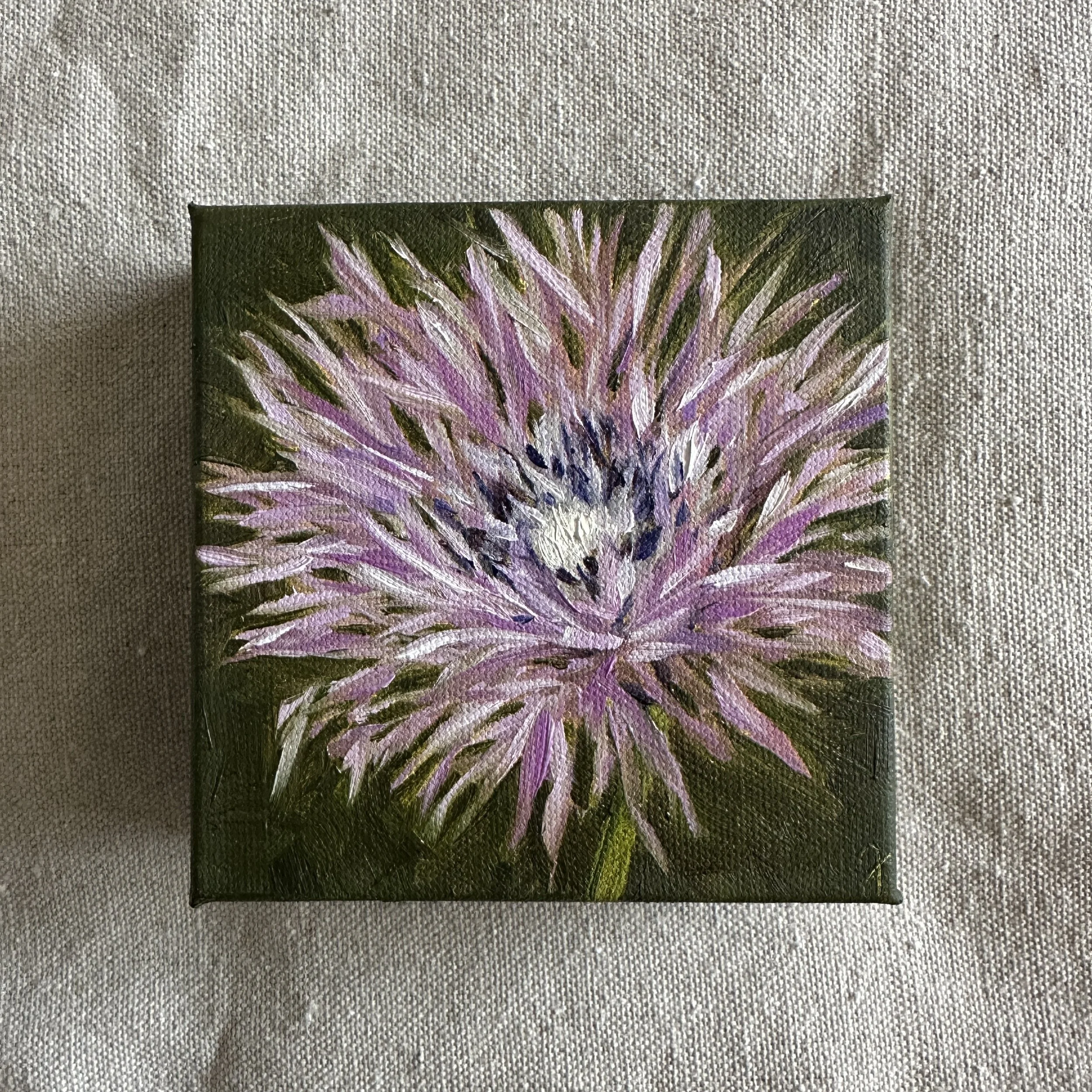 American Basket Flower
