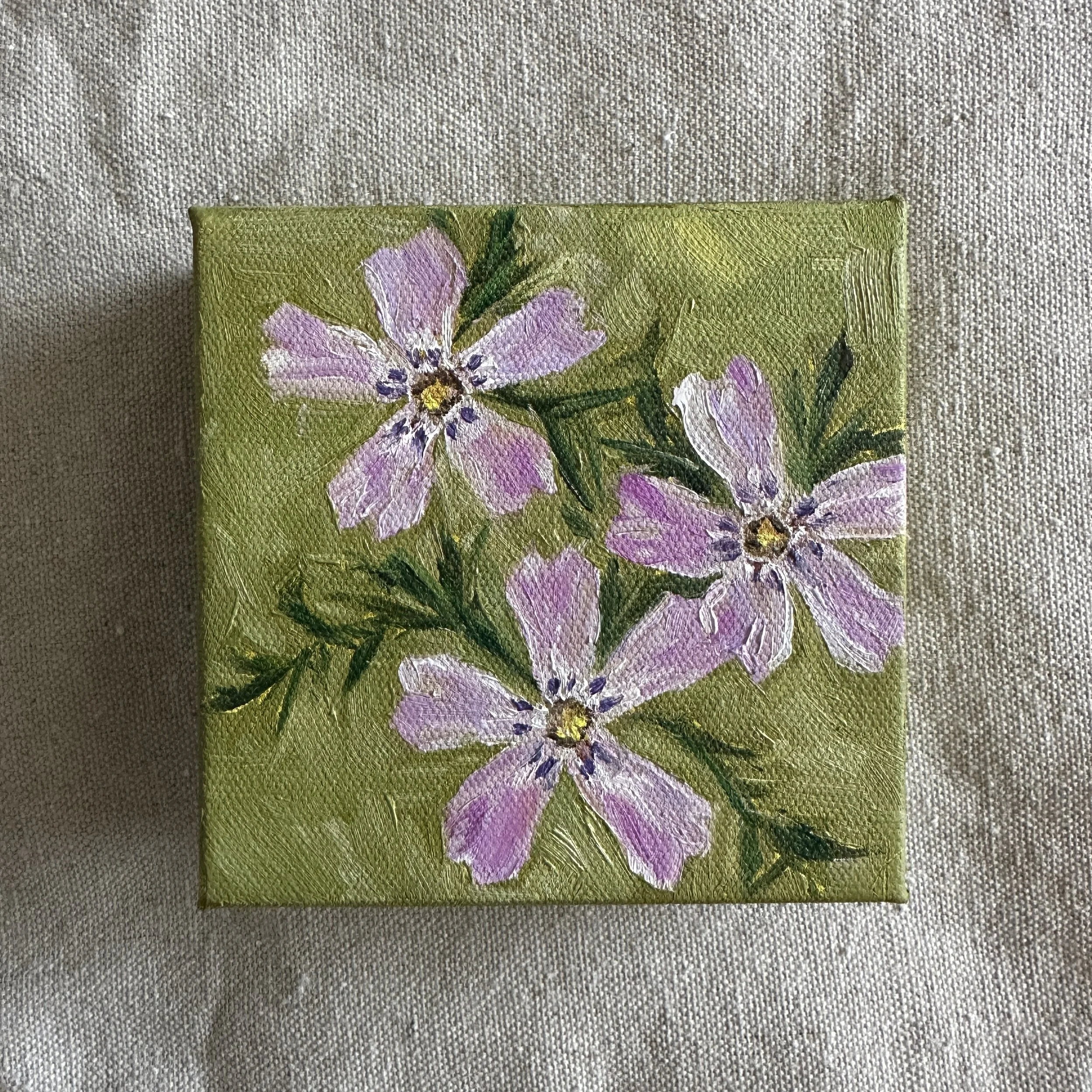 Moss Phlox