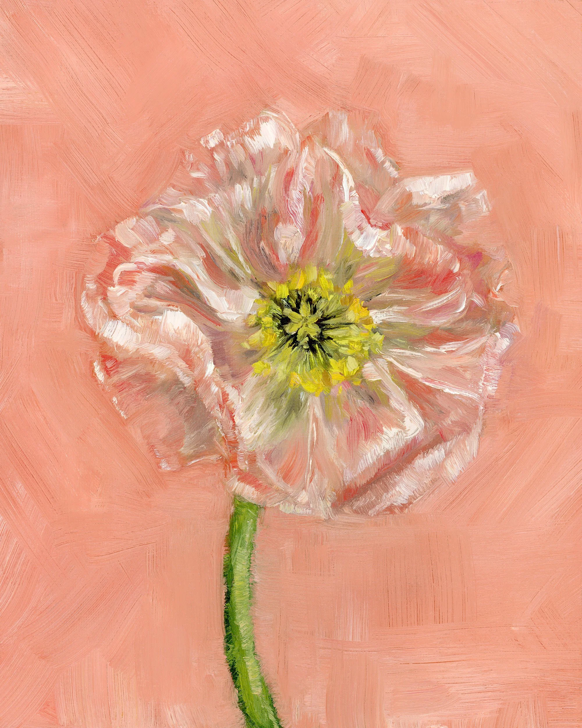 poppy in pink.jpg