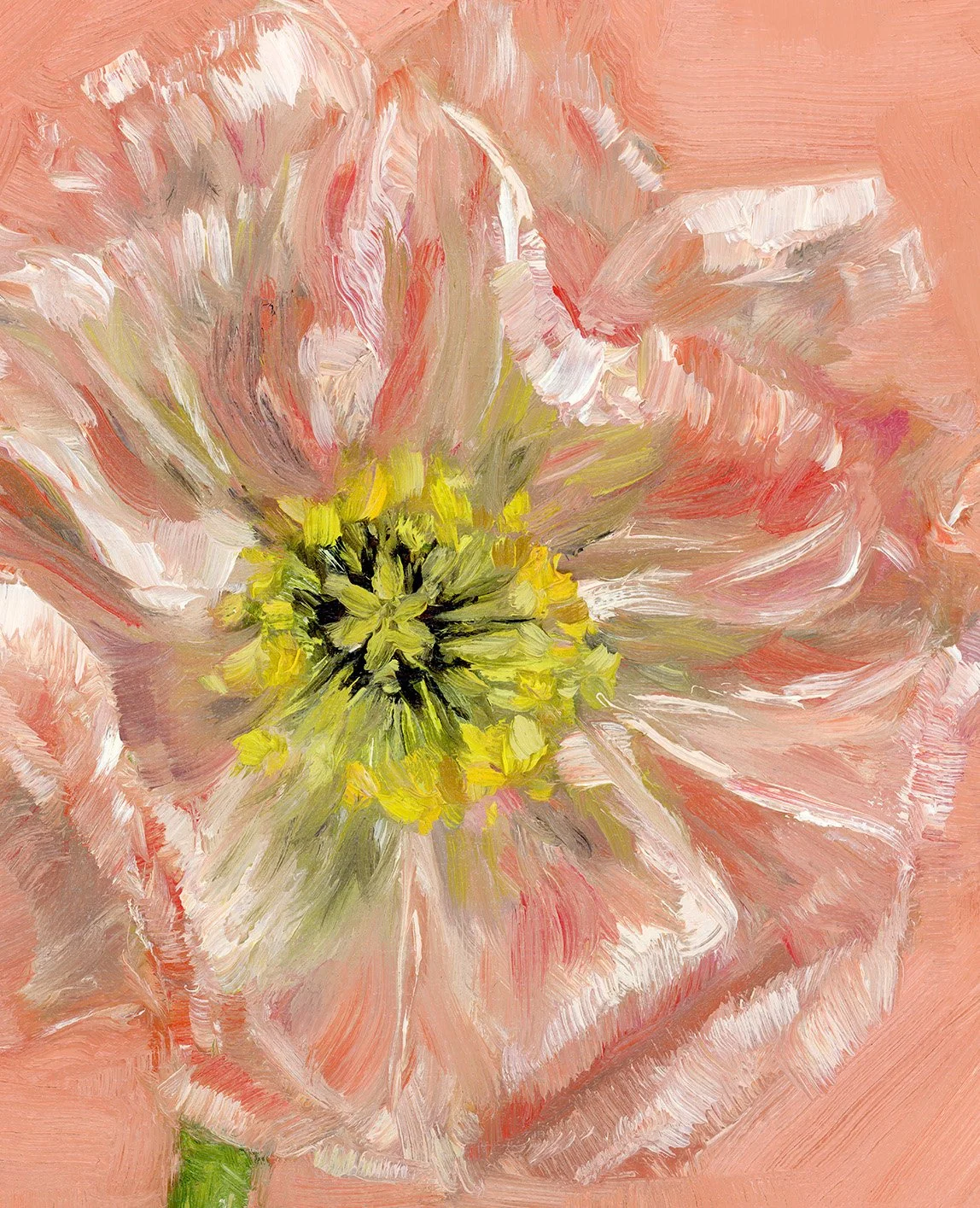 poppy in pink-2.jpg