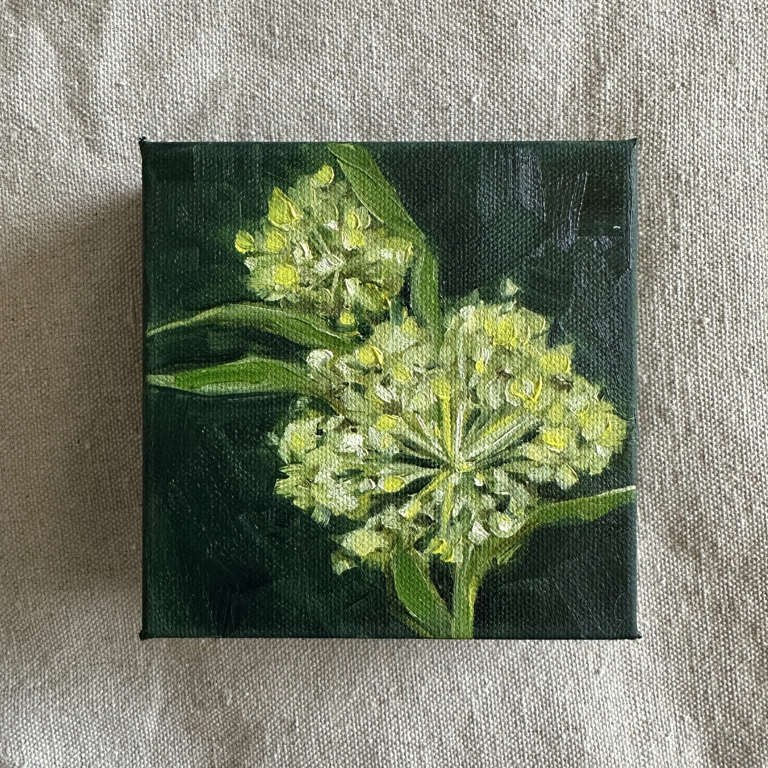 Green Milkweed
