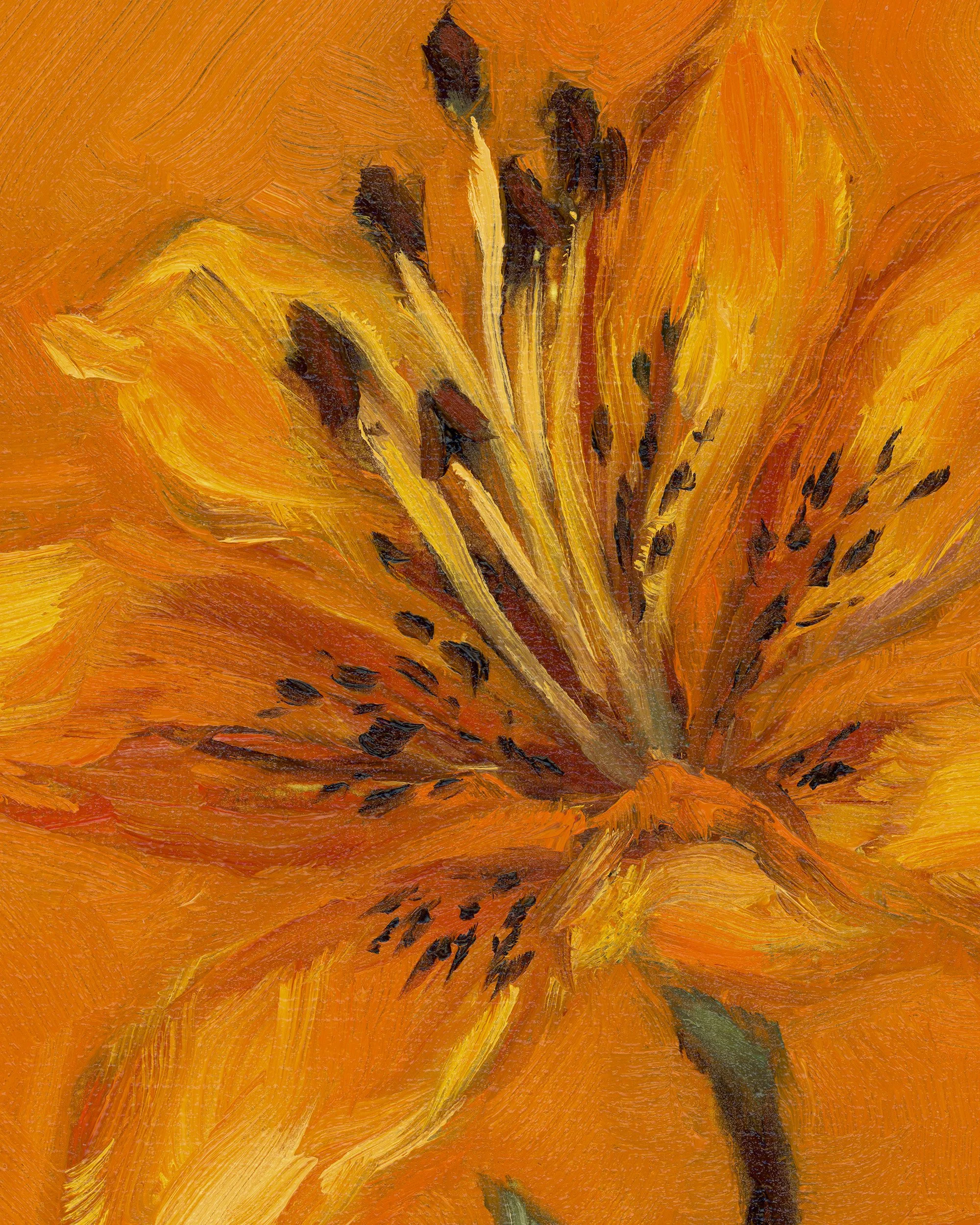 tigerlily-2.jpg