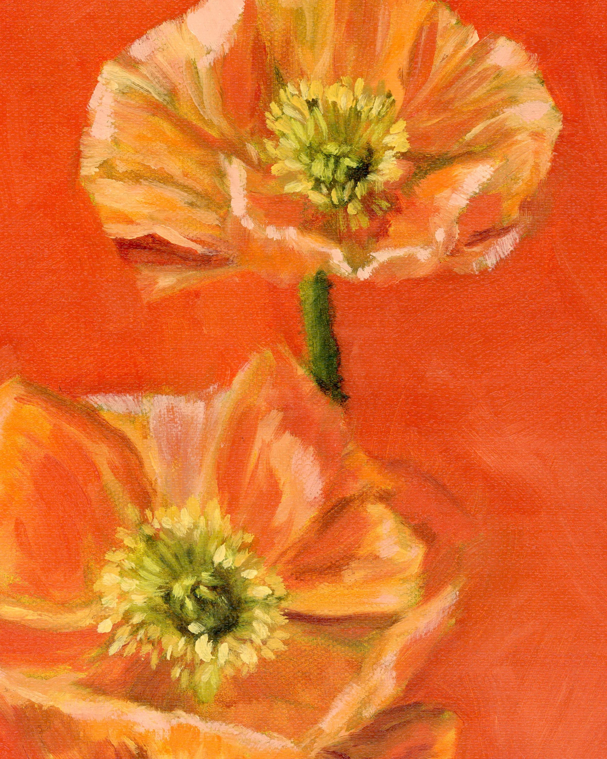 poppies in orange-2.jpg